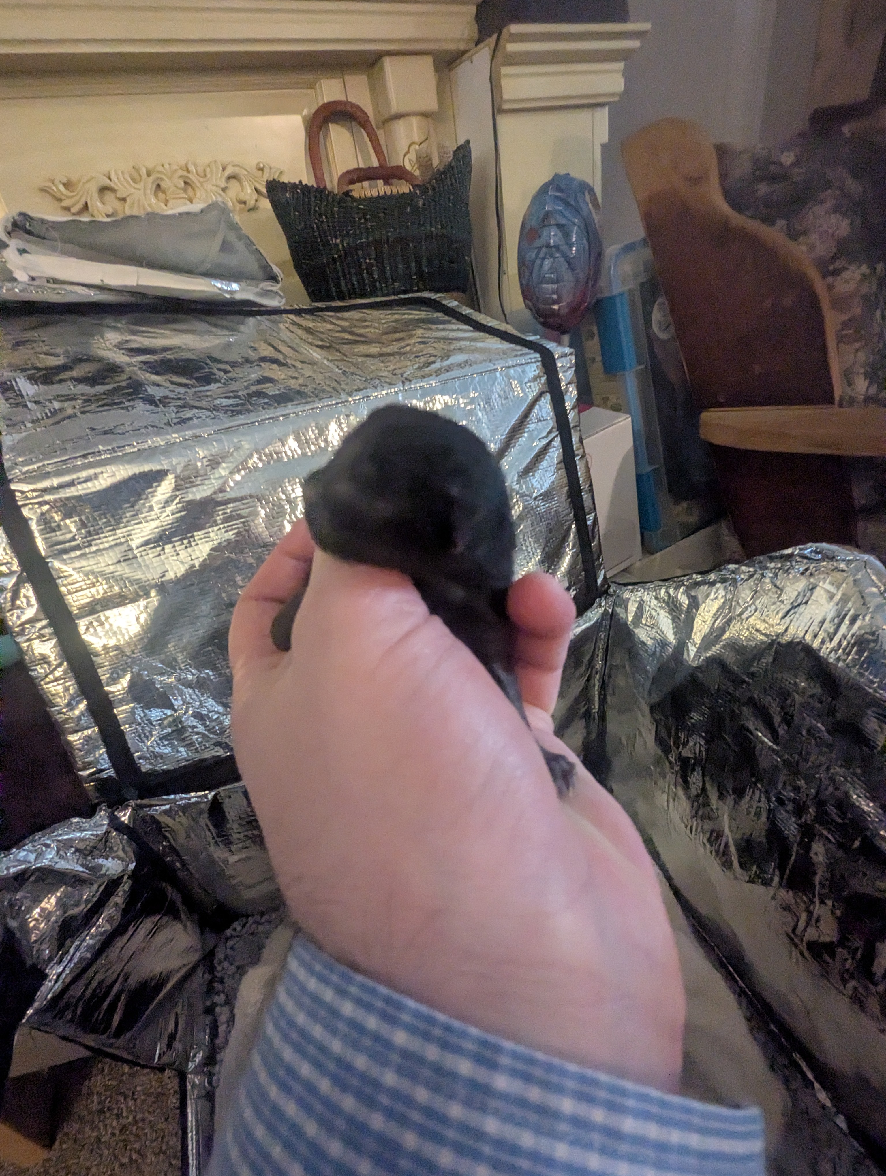 PXL 20260405 191844741