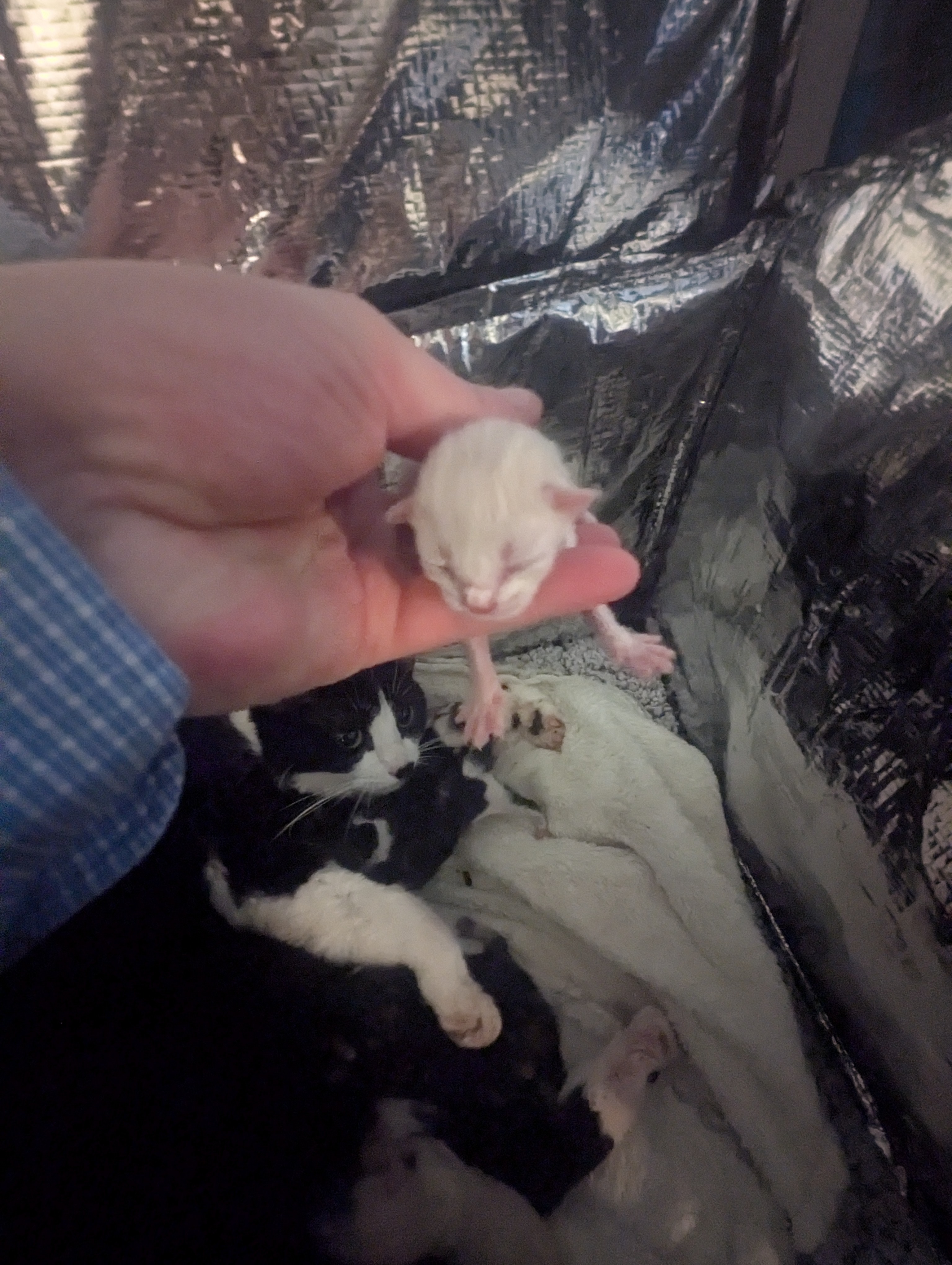 PXL 20260405 191914465