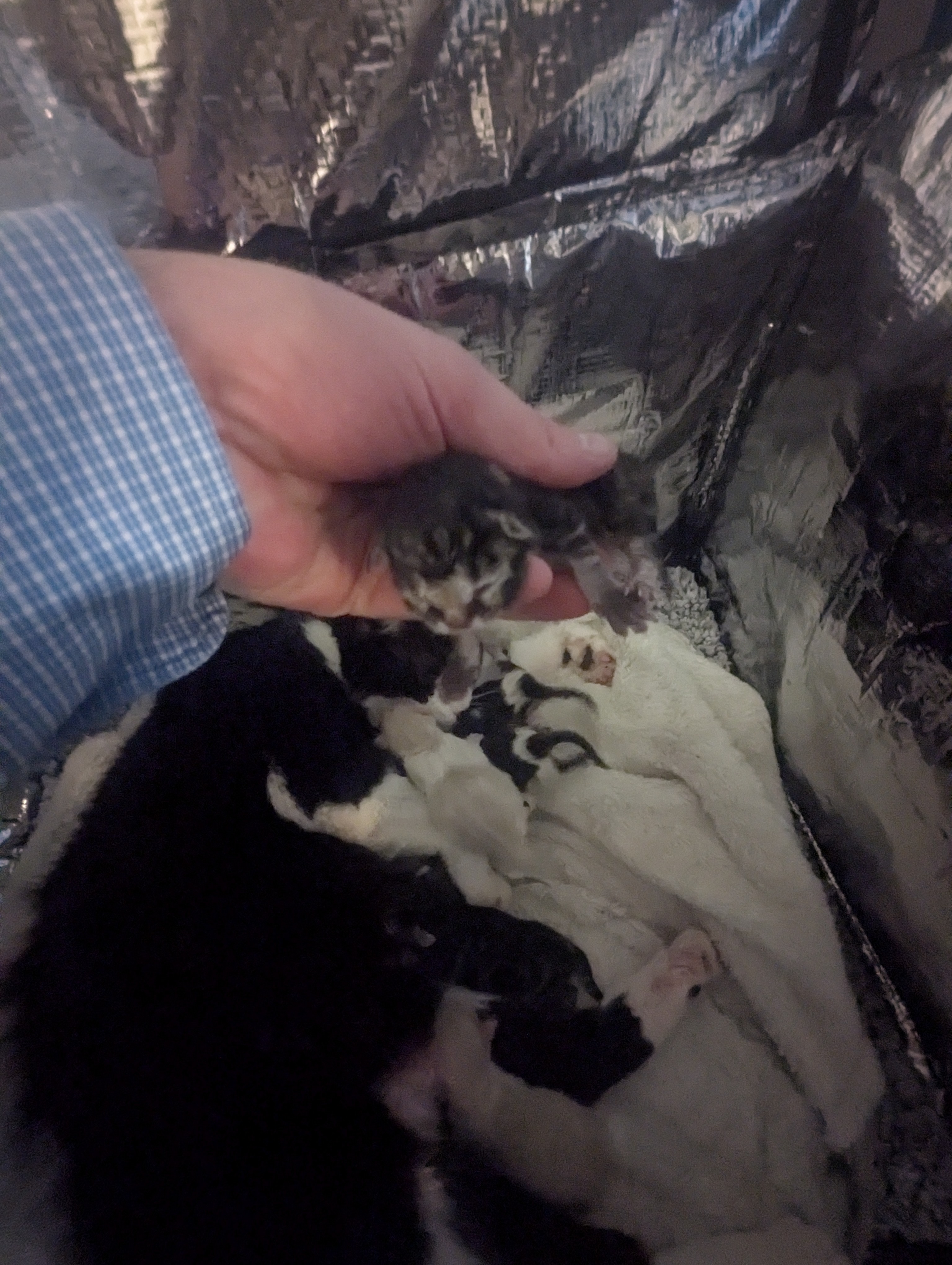 PXL 20260405 191923330