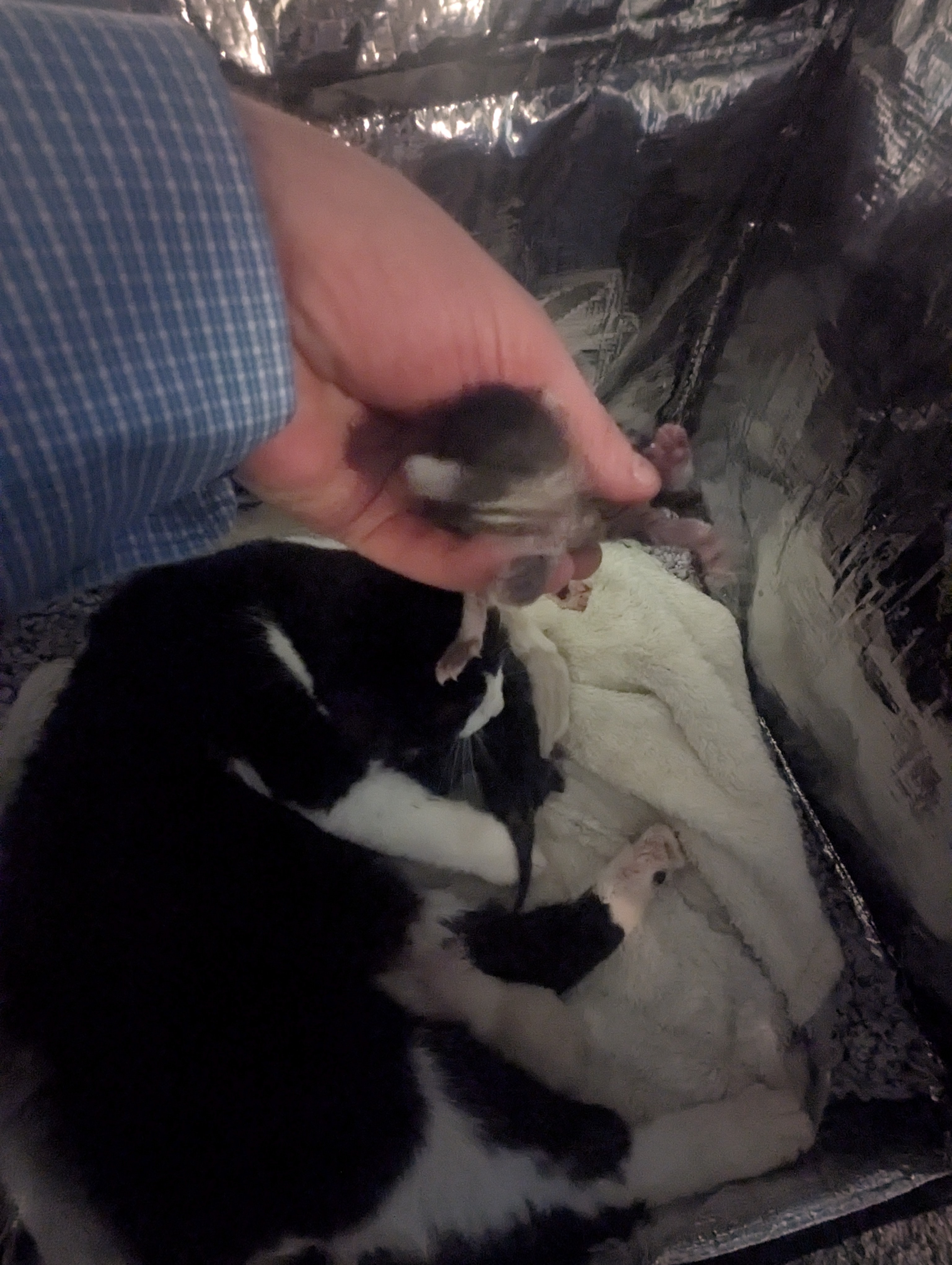 PXL 20260405 191929918