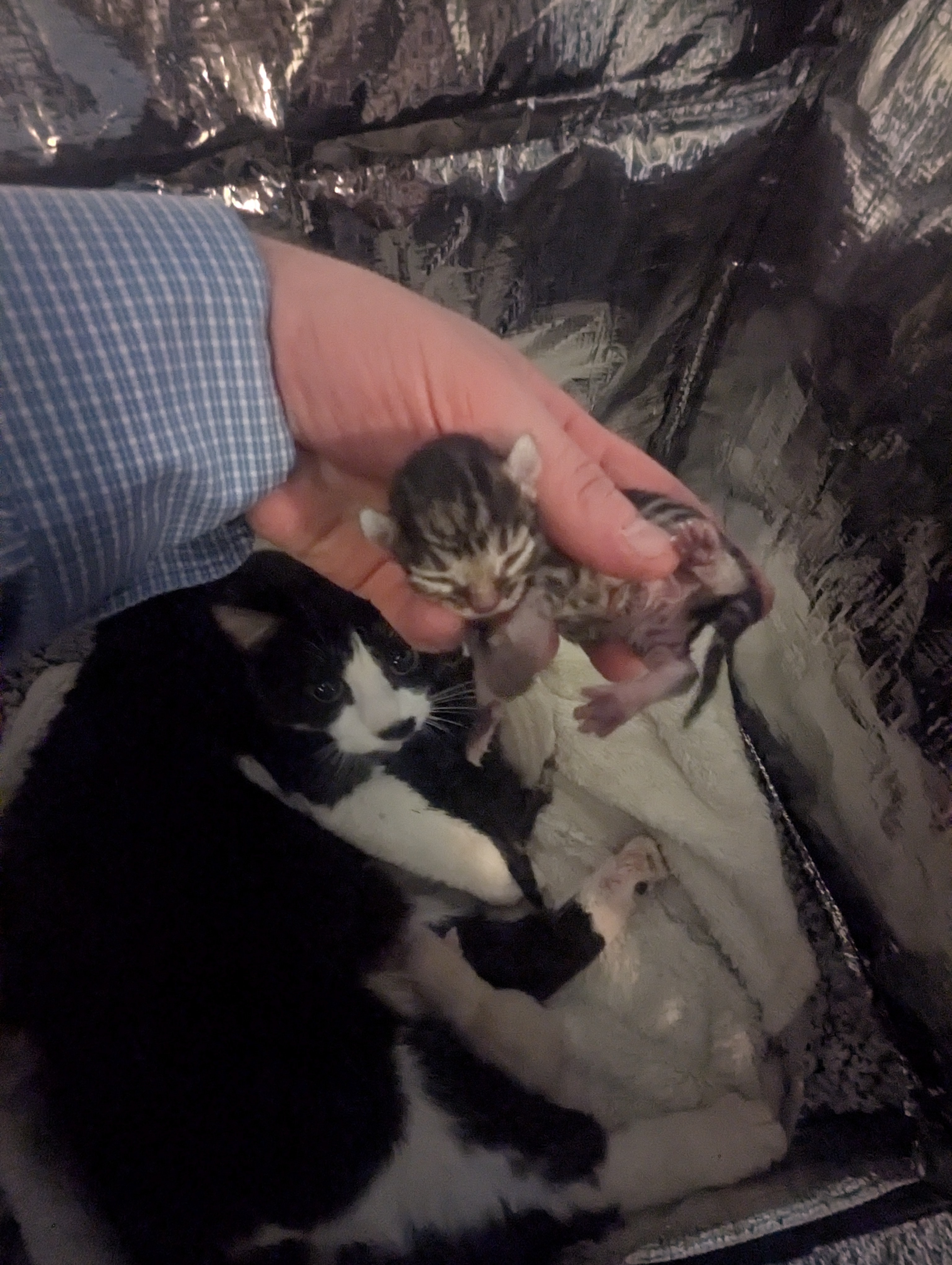 PXL 20260405 191931976