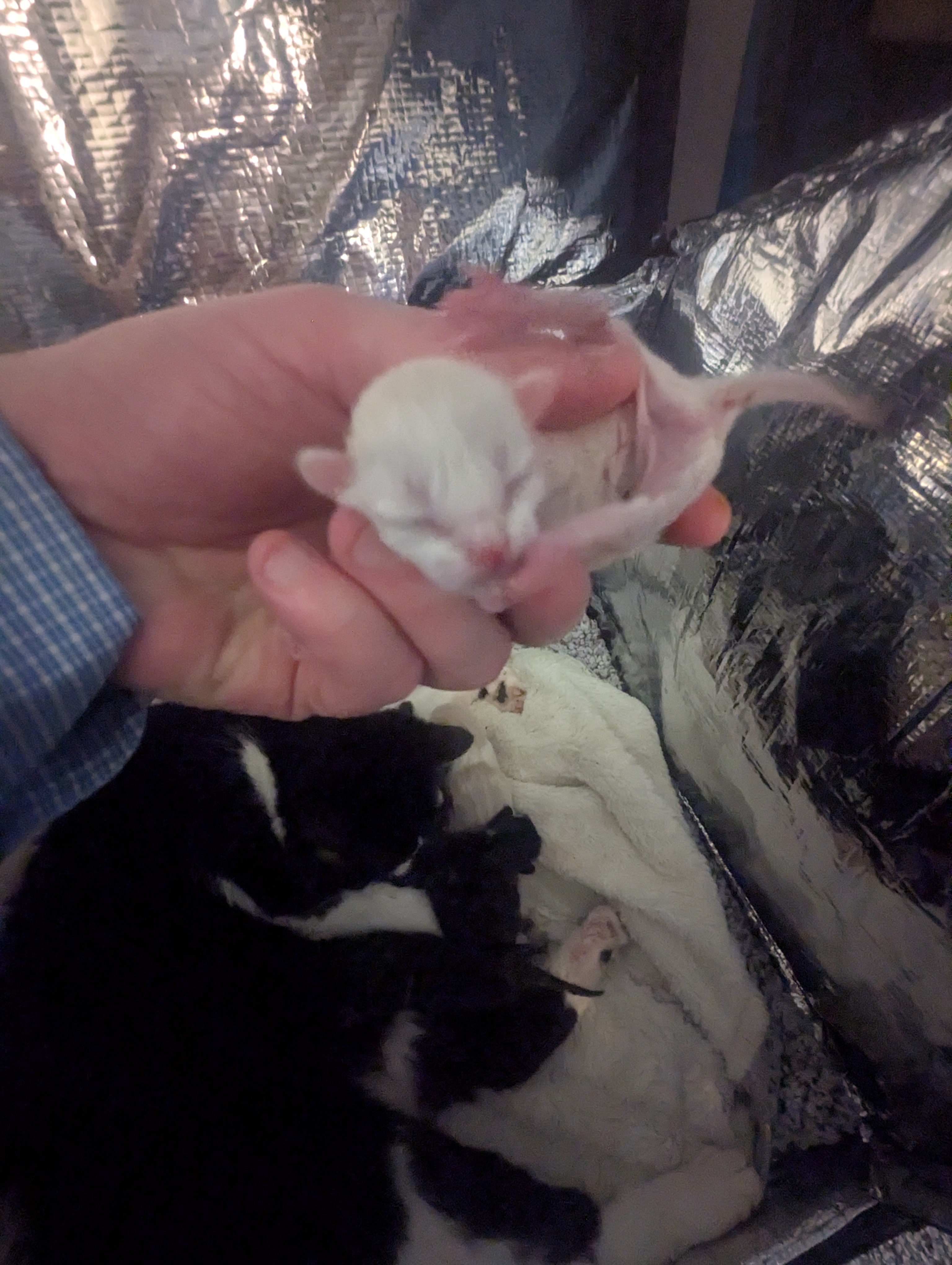 PXL 20260405 191938126