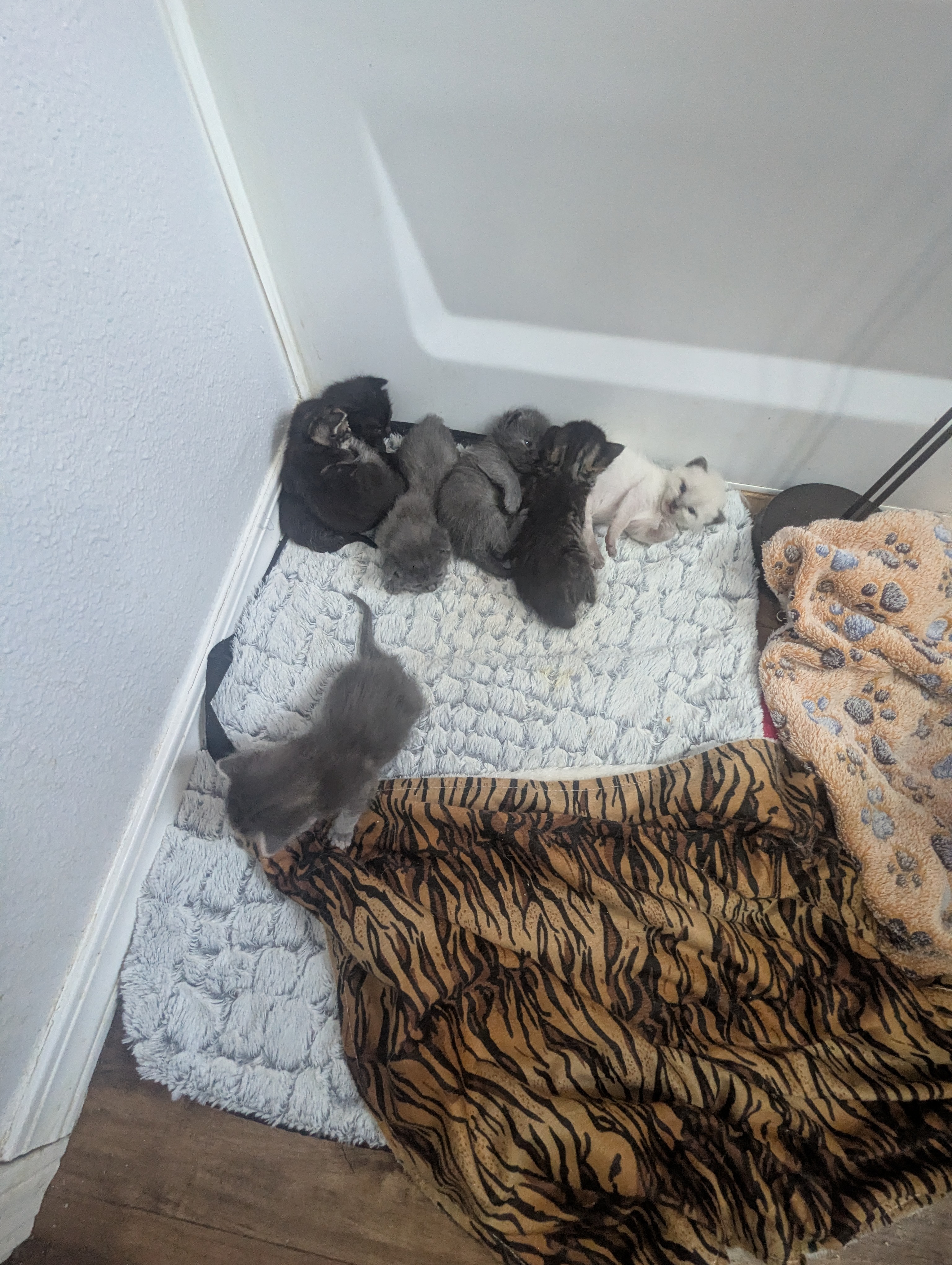 PXL 20260405 192034002