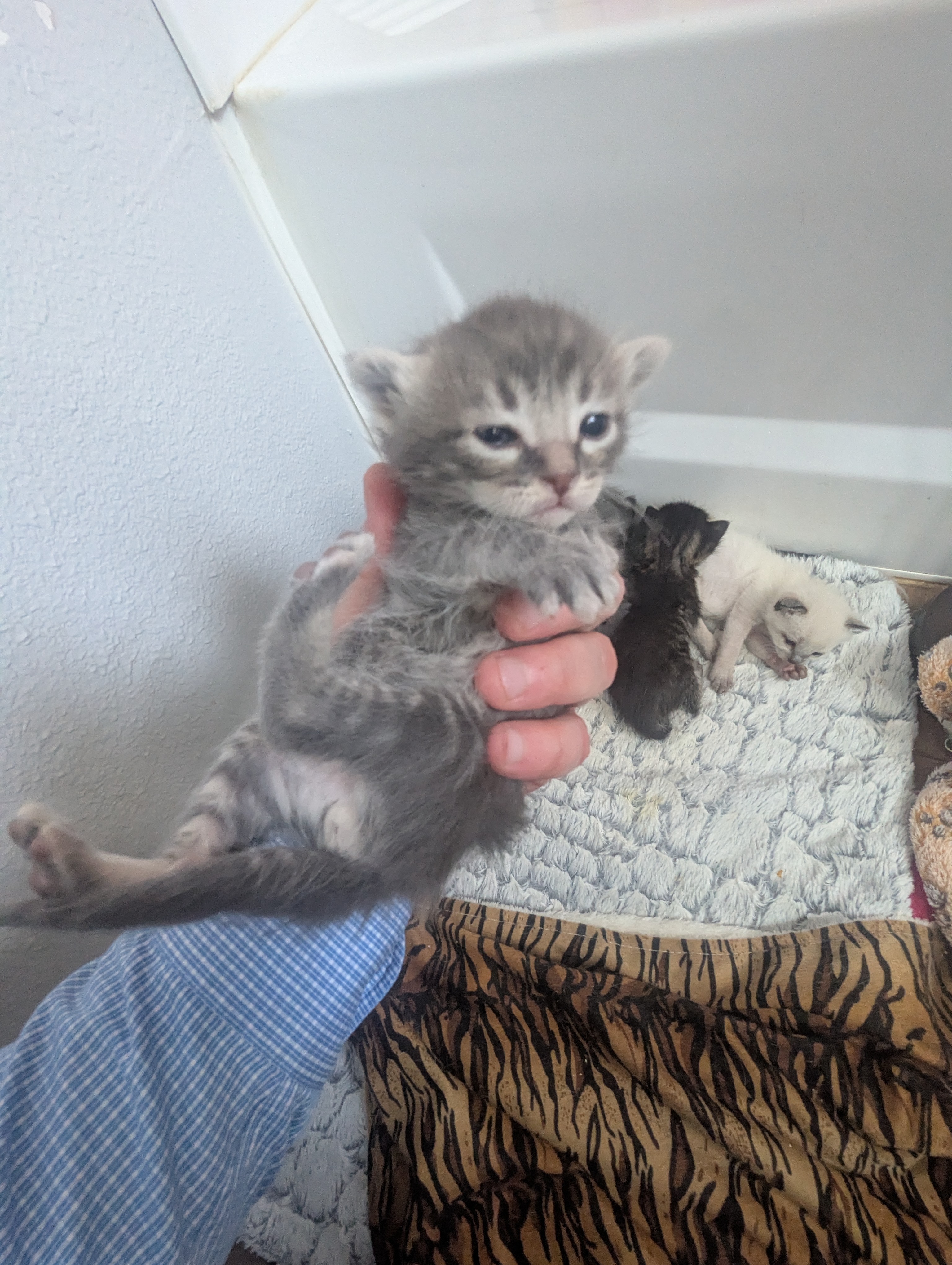 PXL 20260405 192038390