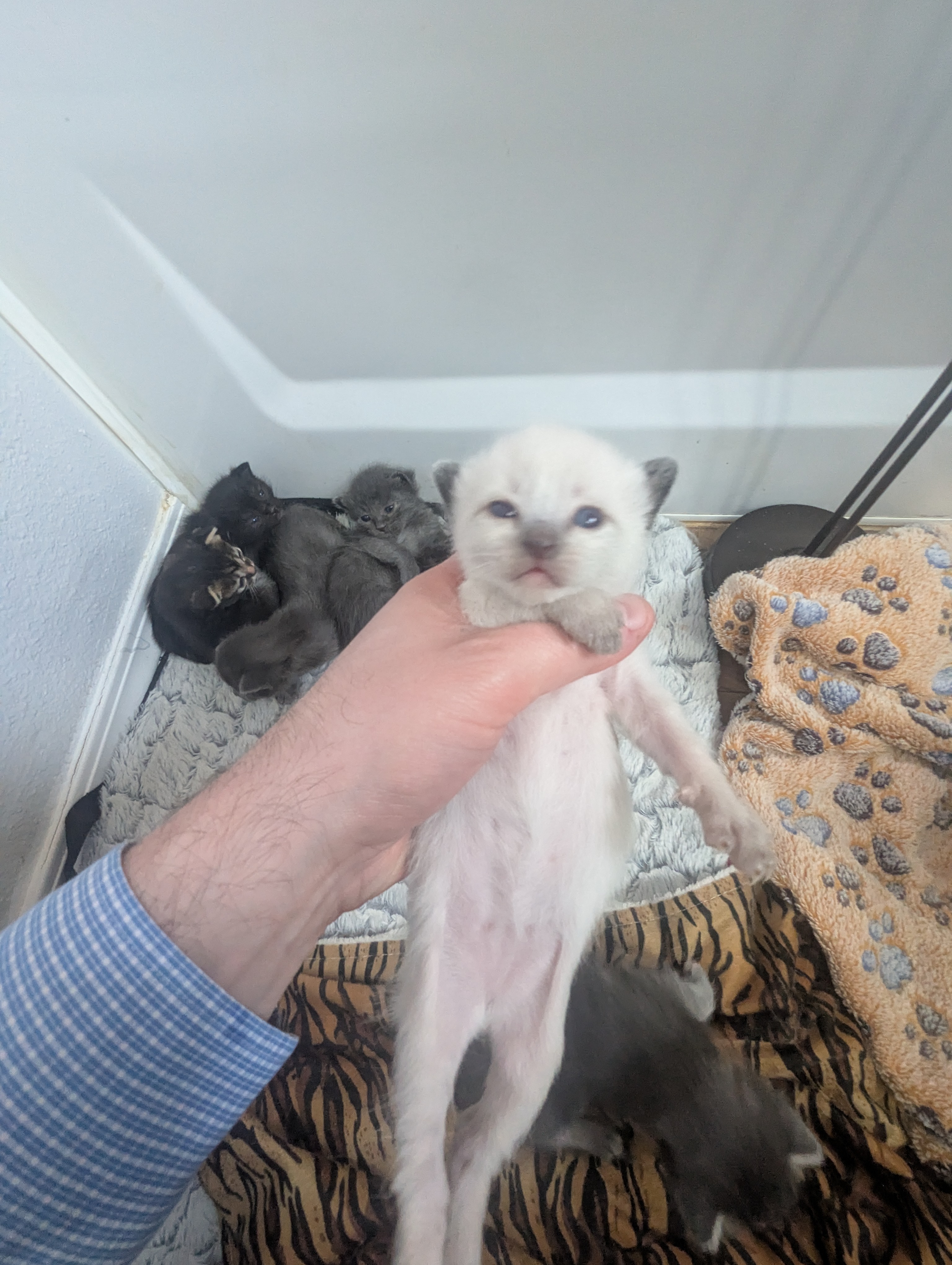 PXL 20260405 192042389