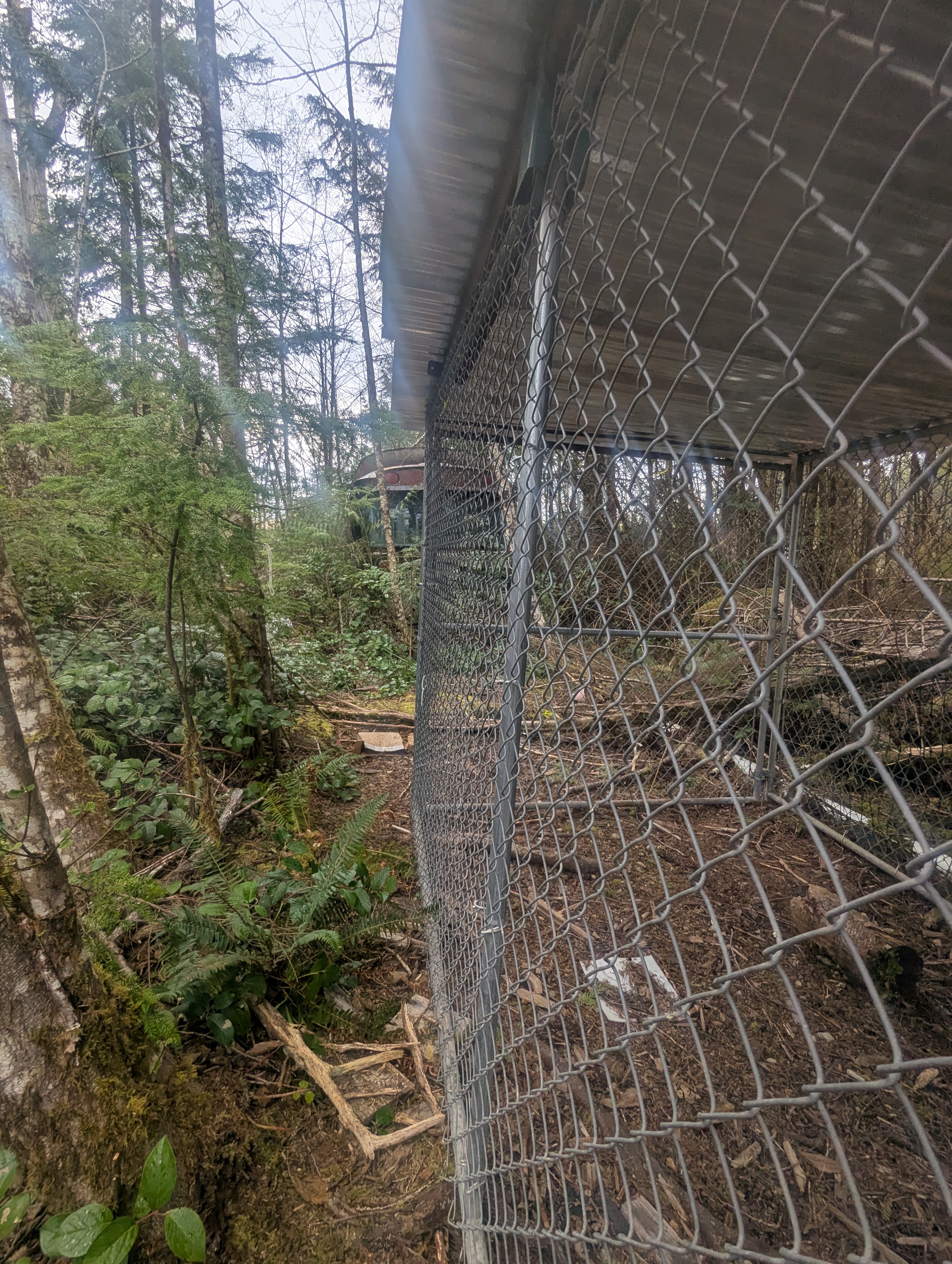 PXL 20260410 161855287