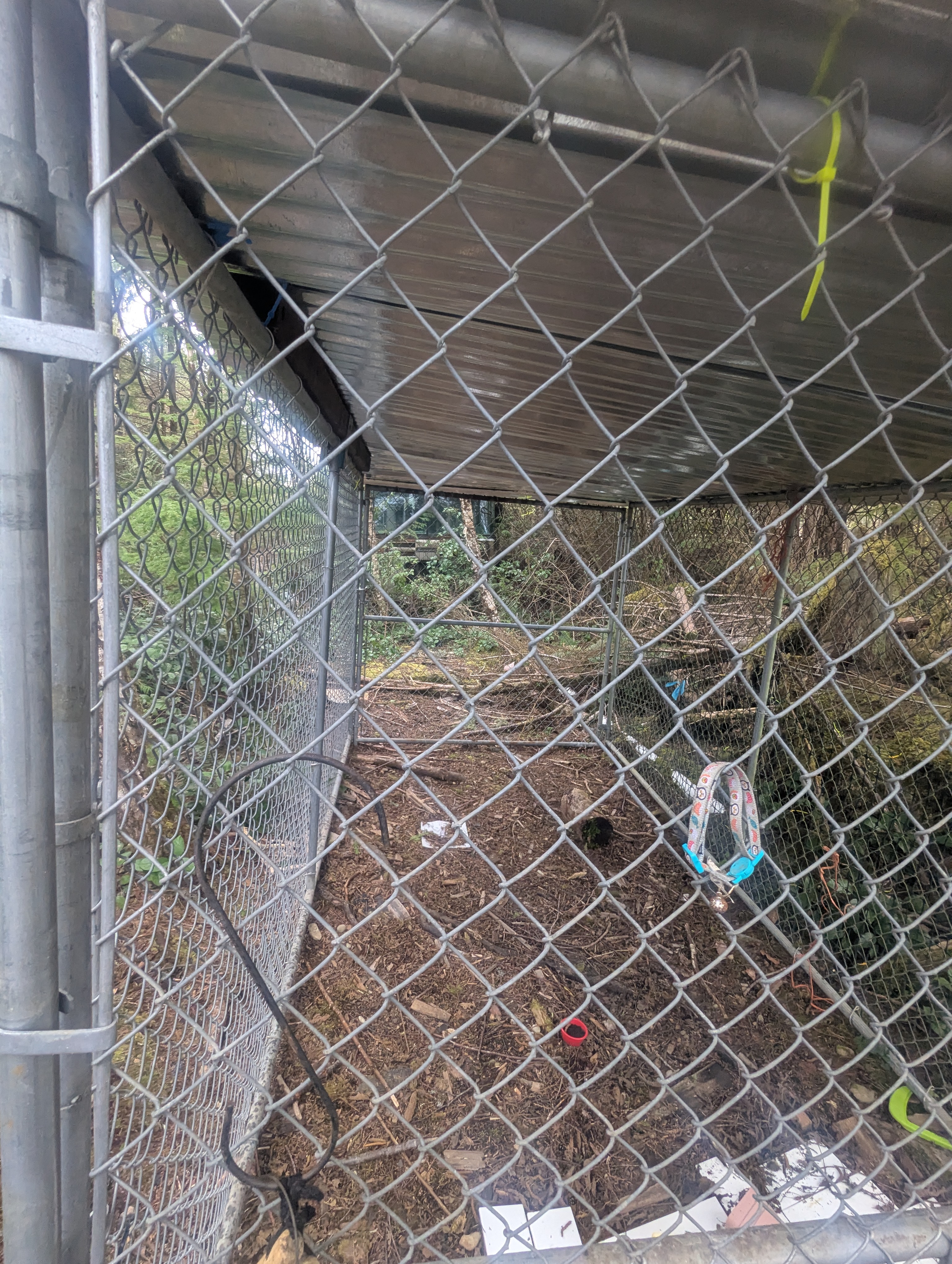 PXL 20260410 161911359