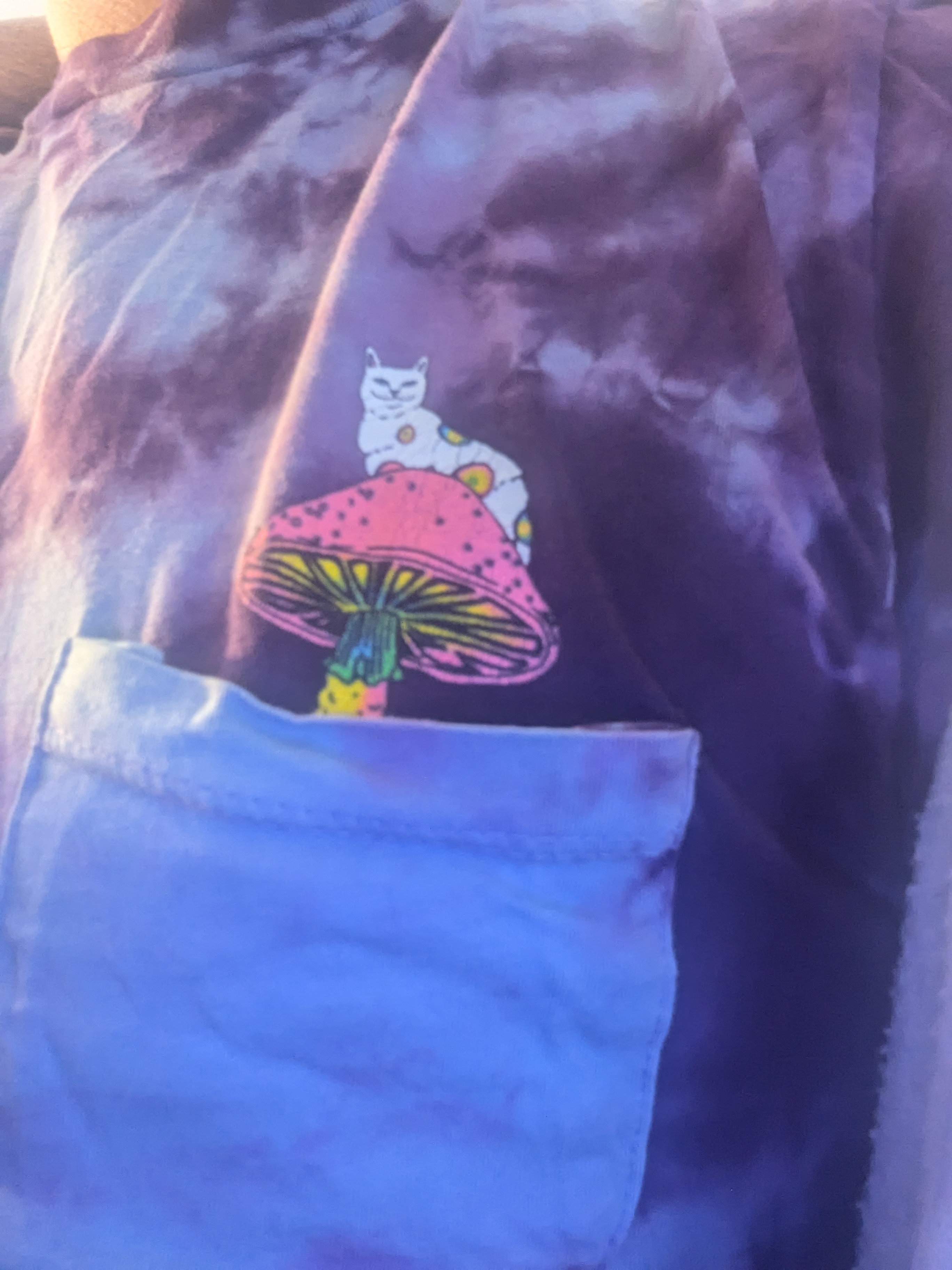 PXL 20260410 174752330