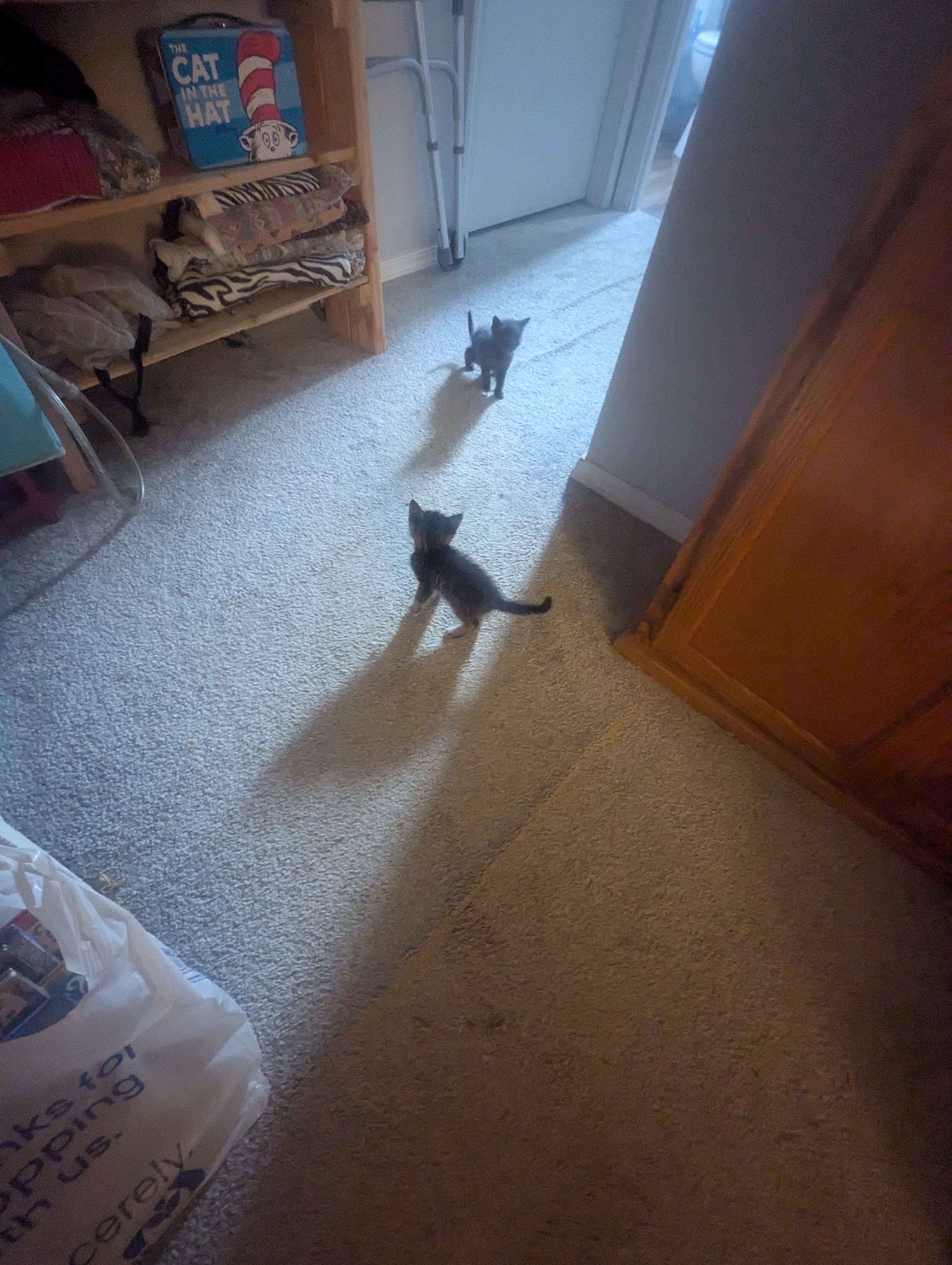 PXL 20260426 014006512