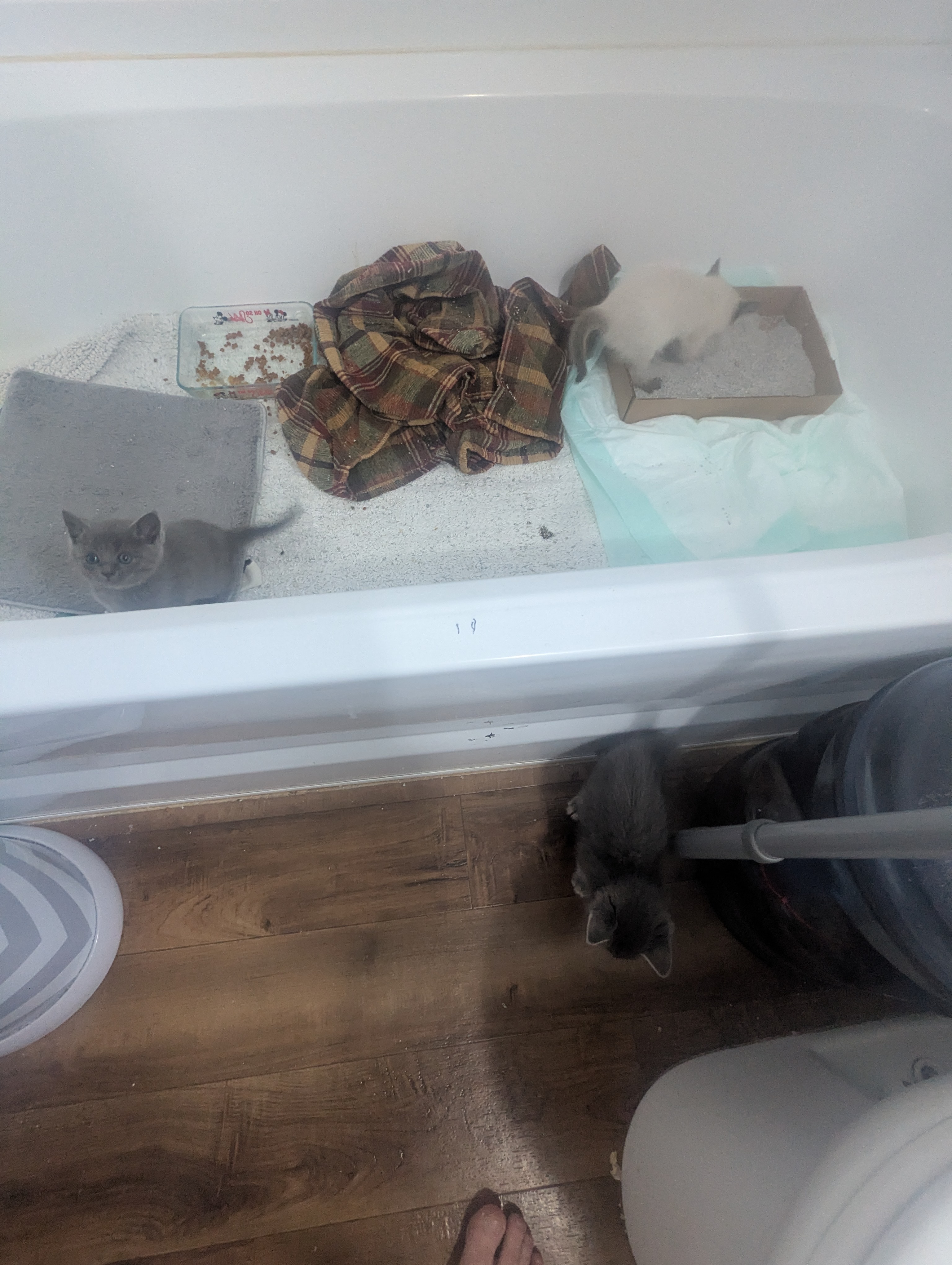 PXL 20260426 014018123