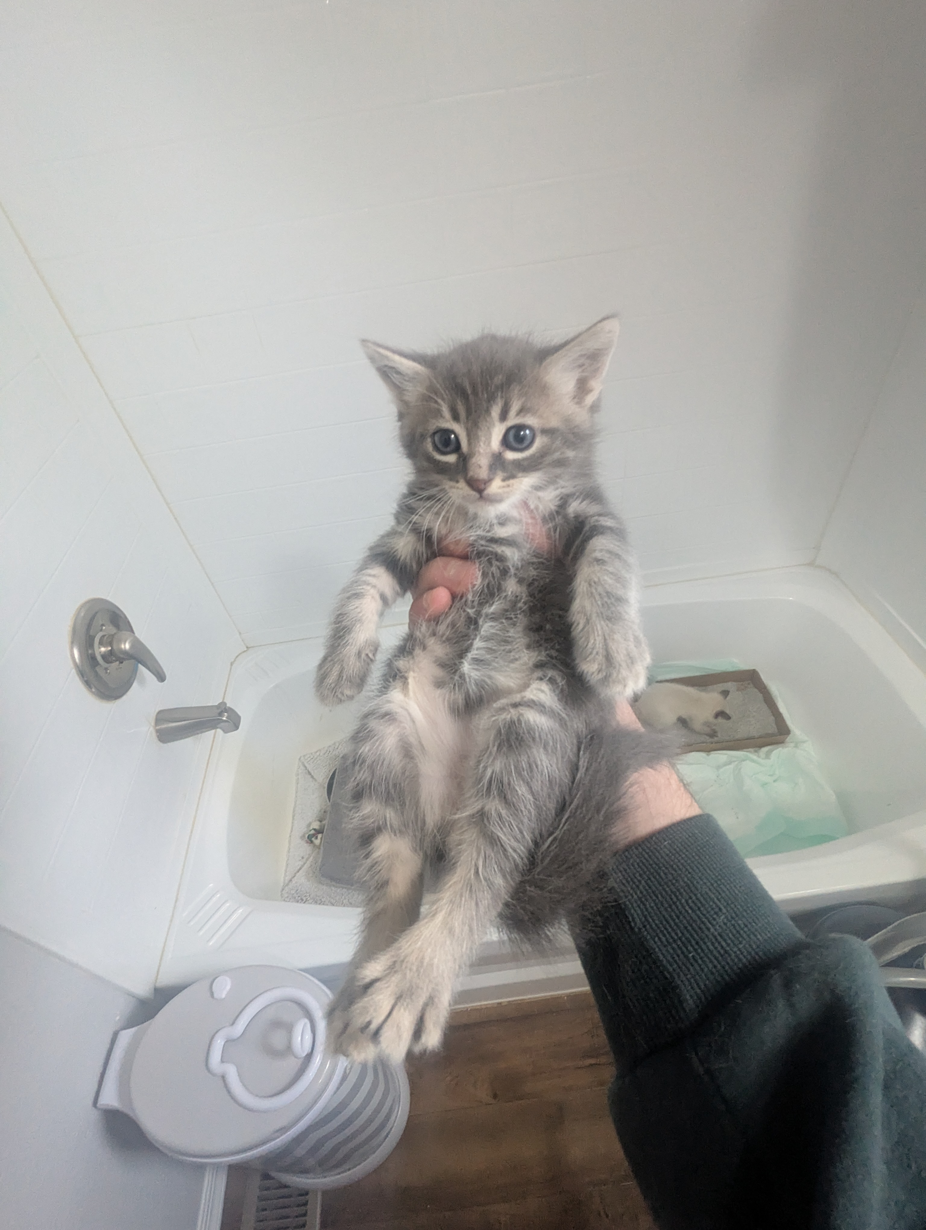 PXL 20260426 014025627