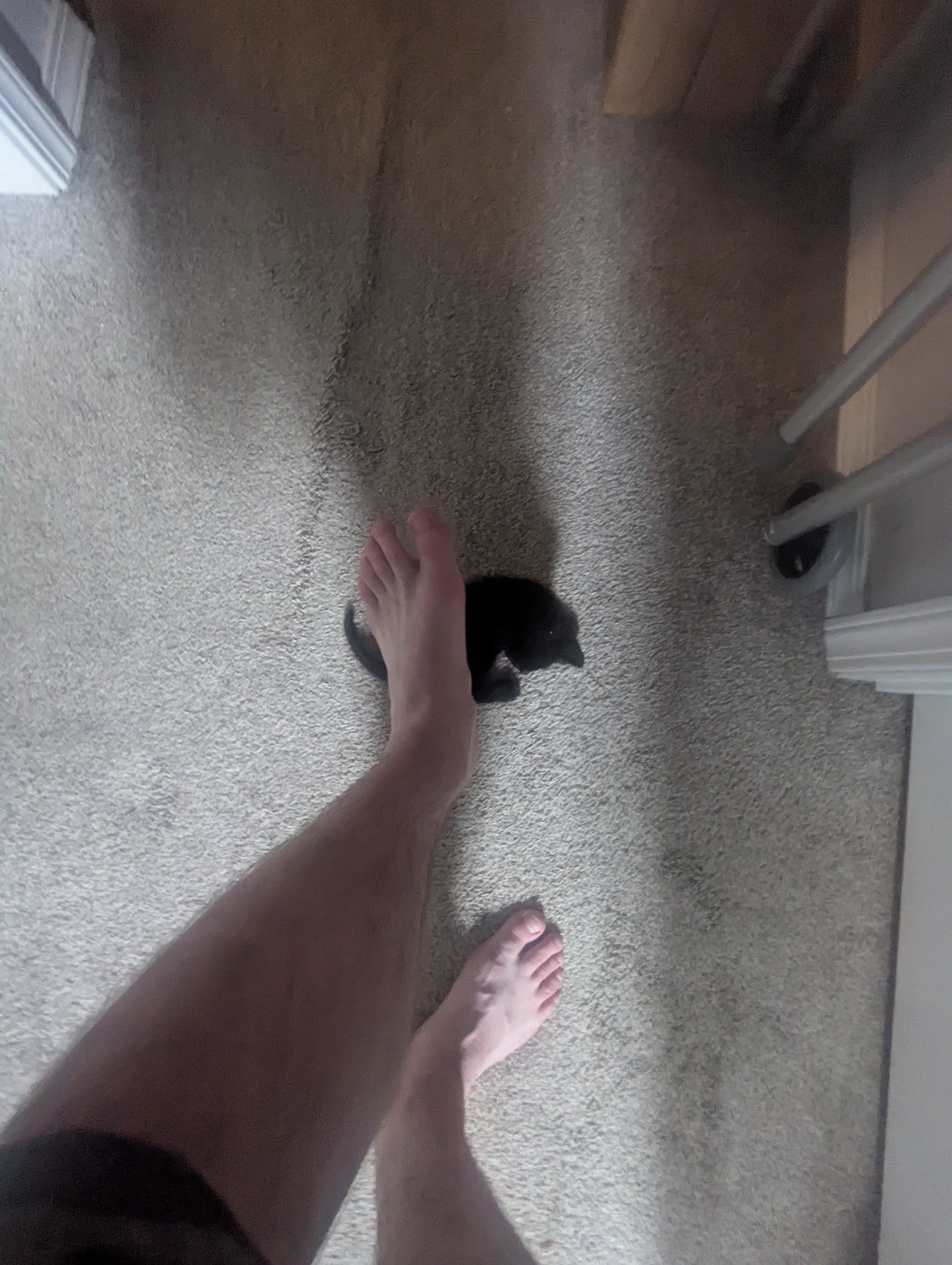 PXL 20260426 014154782