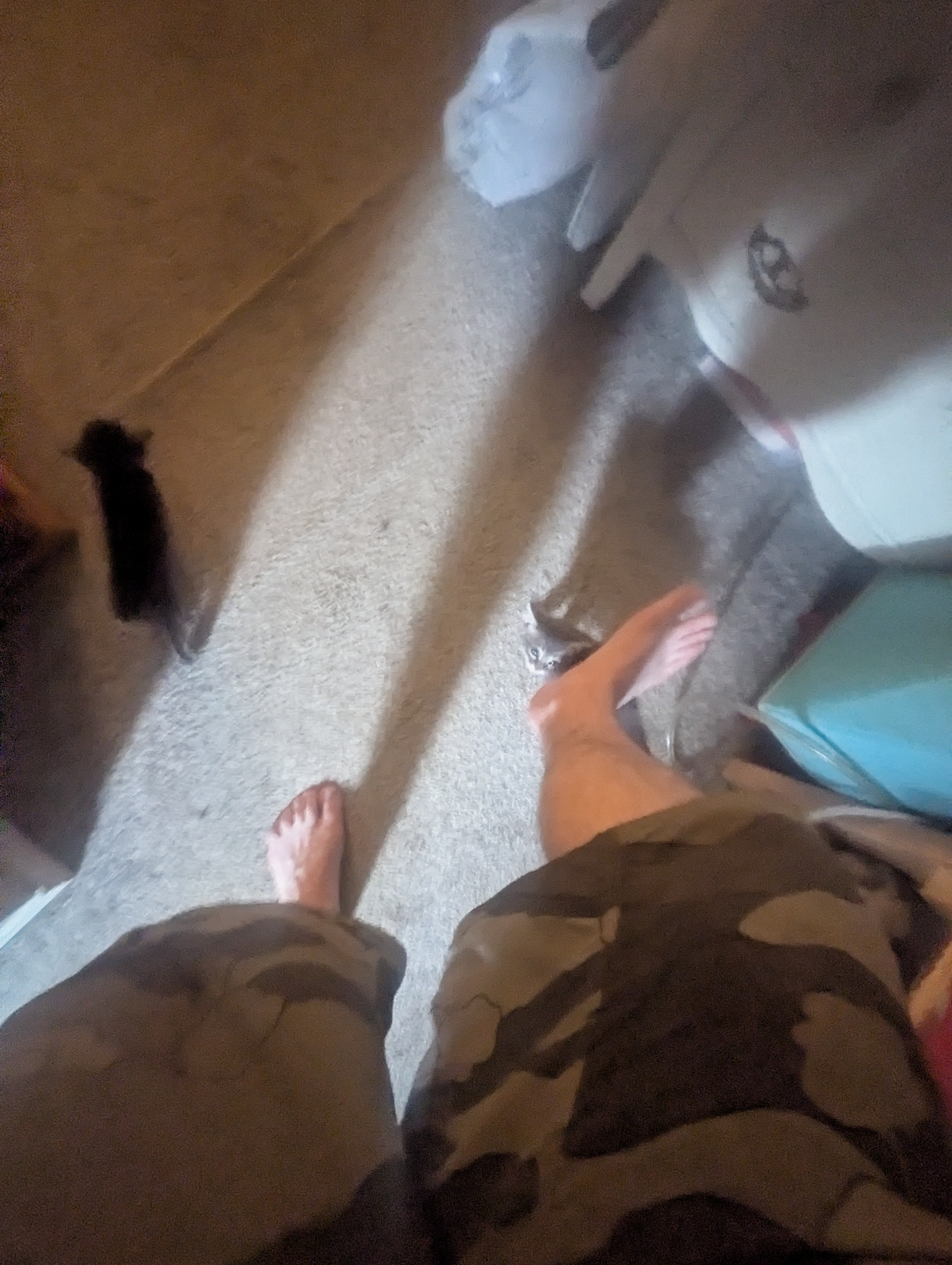 PXL 20260426 014200068