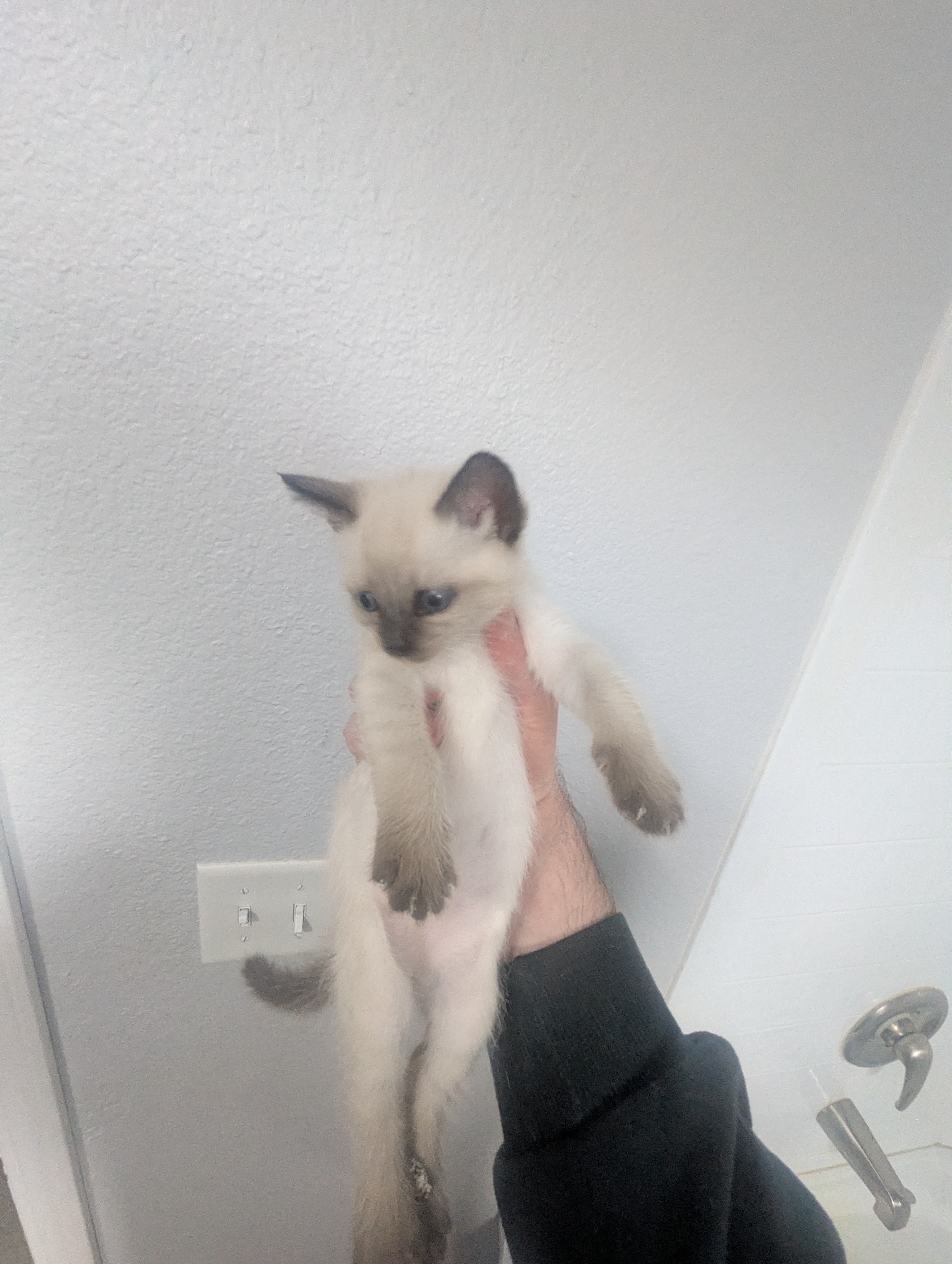 PXL 20260426 014248351