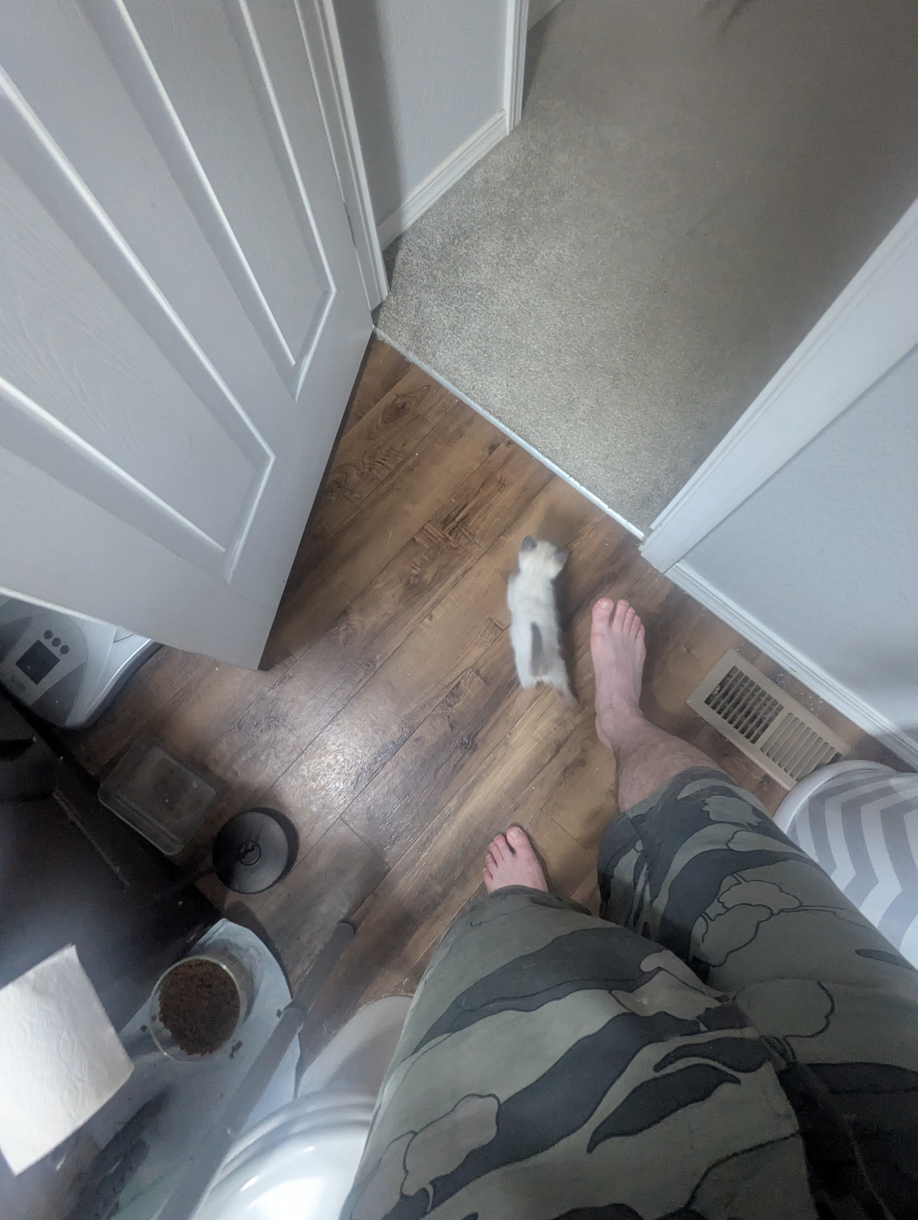 PXL 20260426 014256123