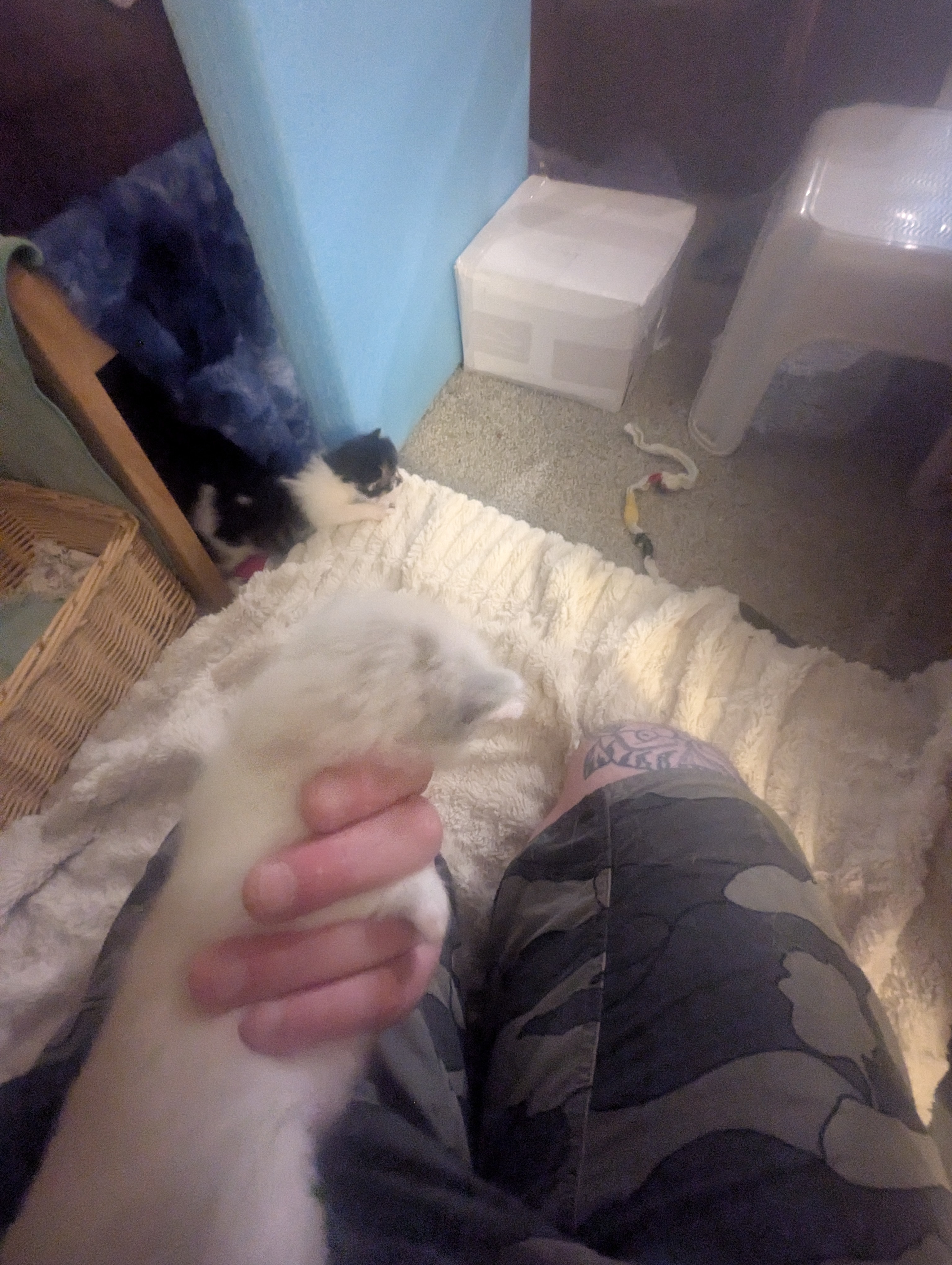 PXL 20260426 014336000