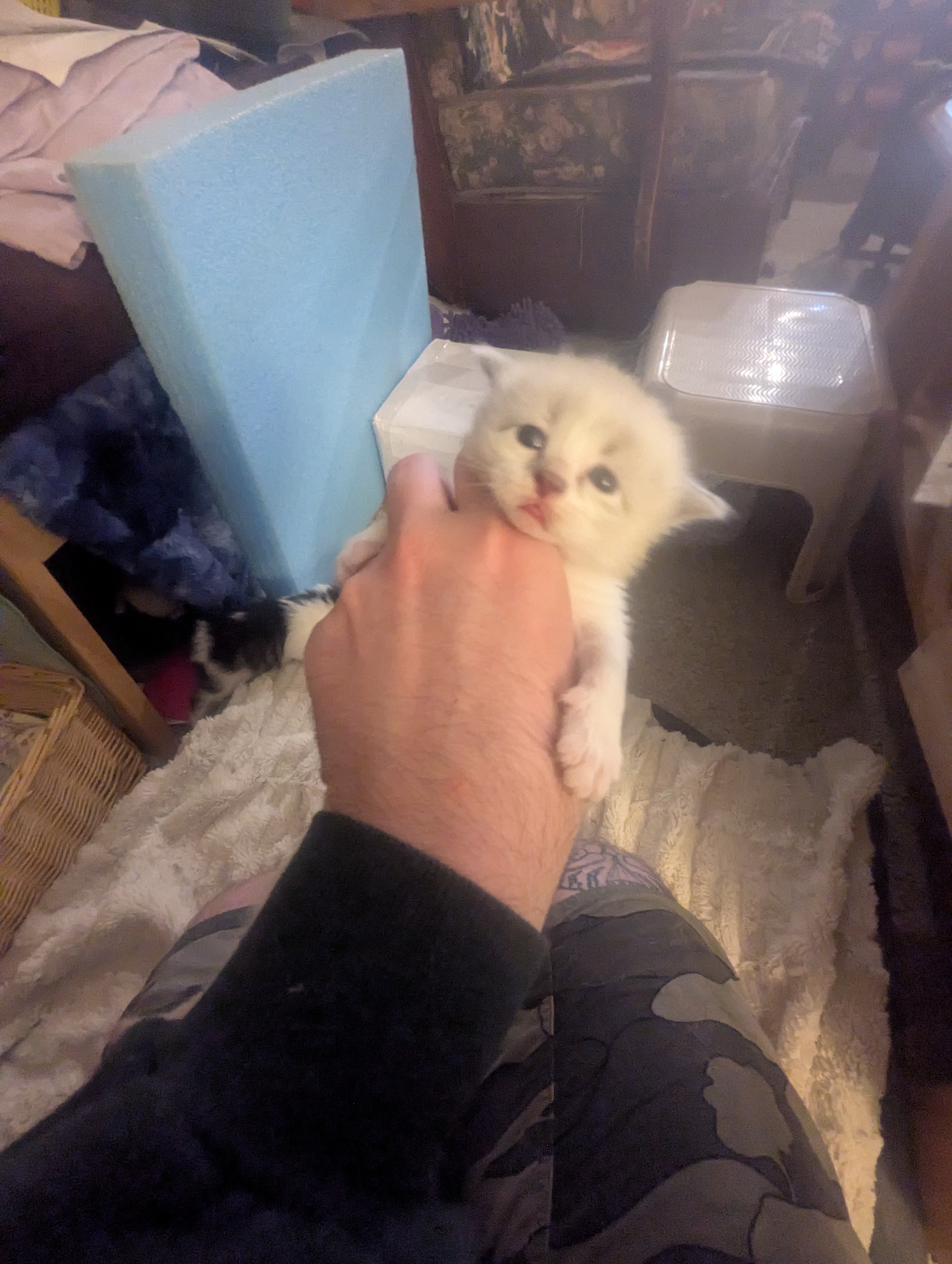 PXL 20260426 014338565