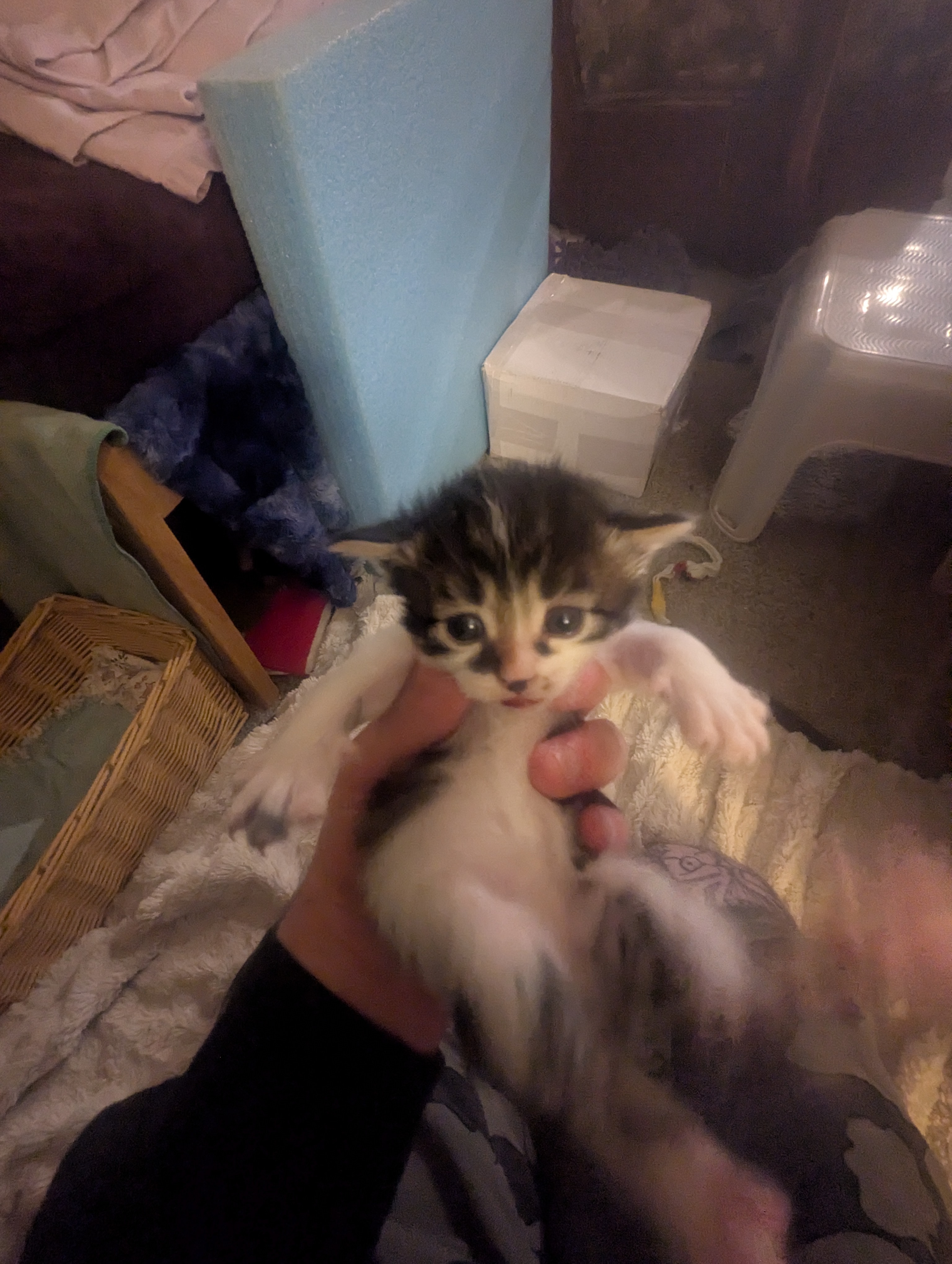 PXL 20260426 014342552