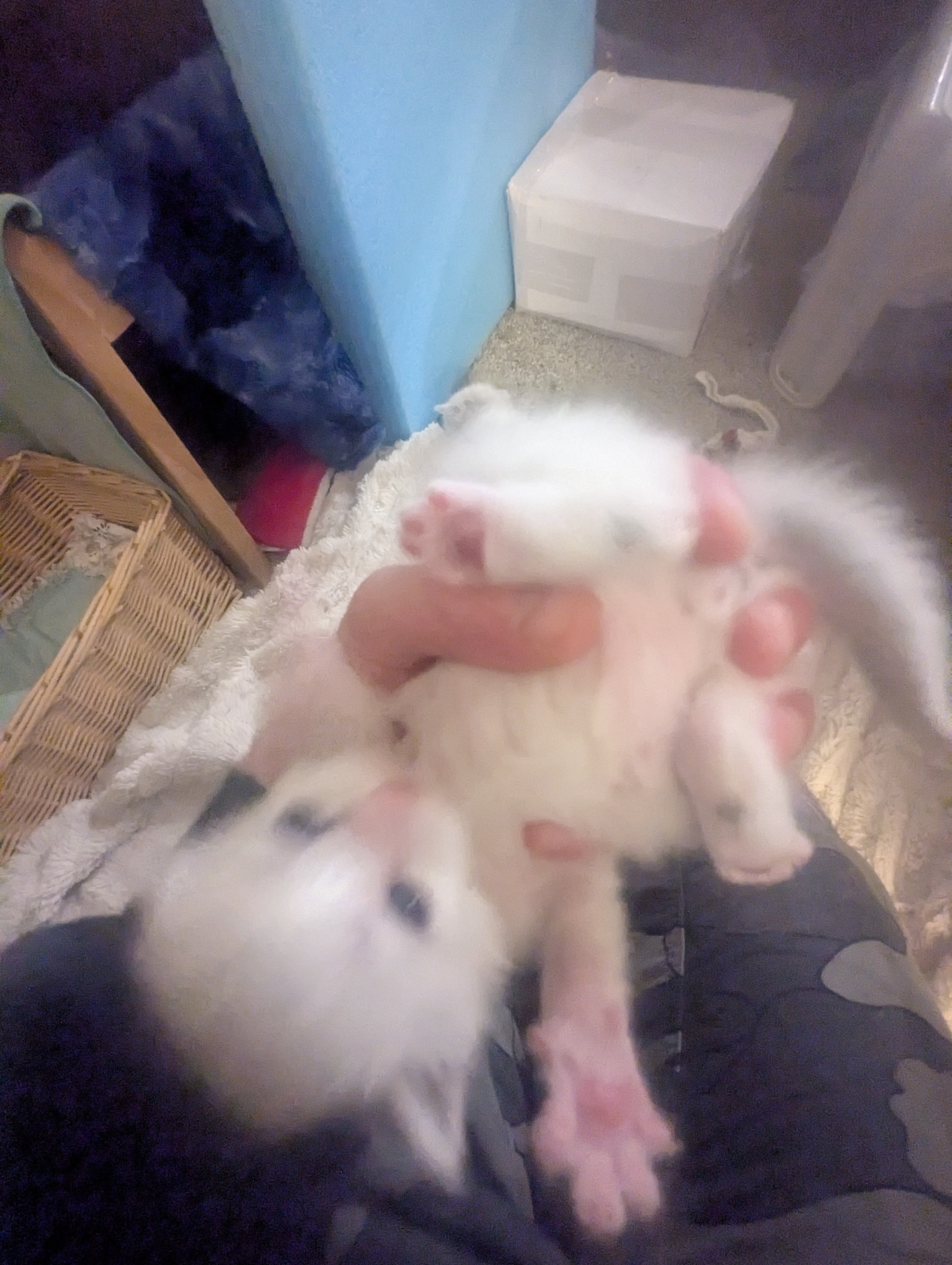 PXL 20260426 014350367