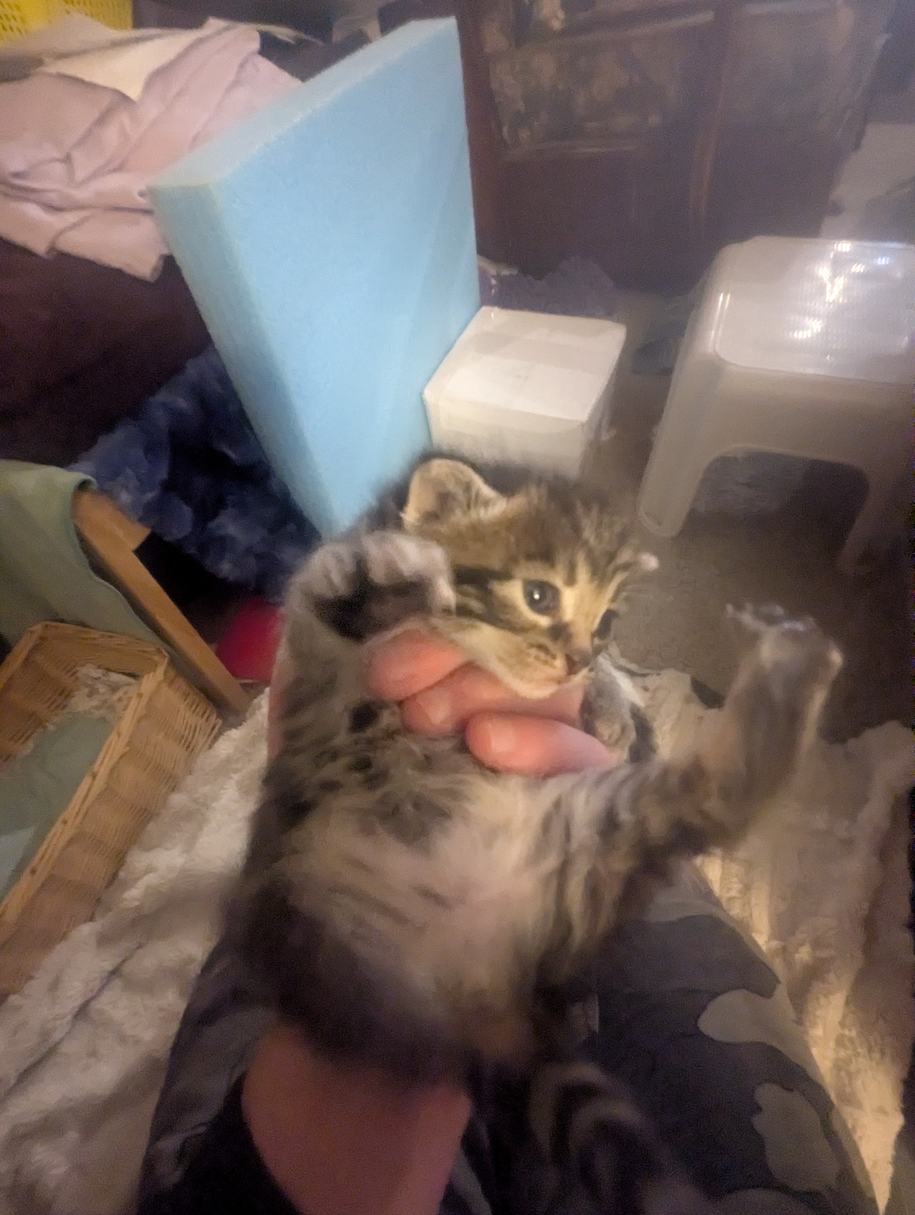 PXL 20260426 014357837