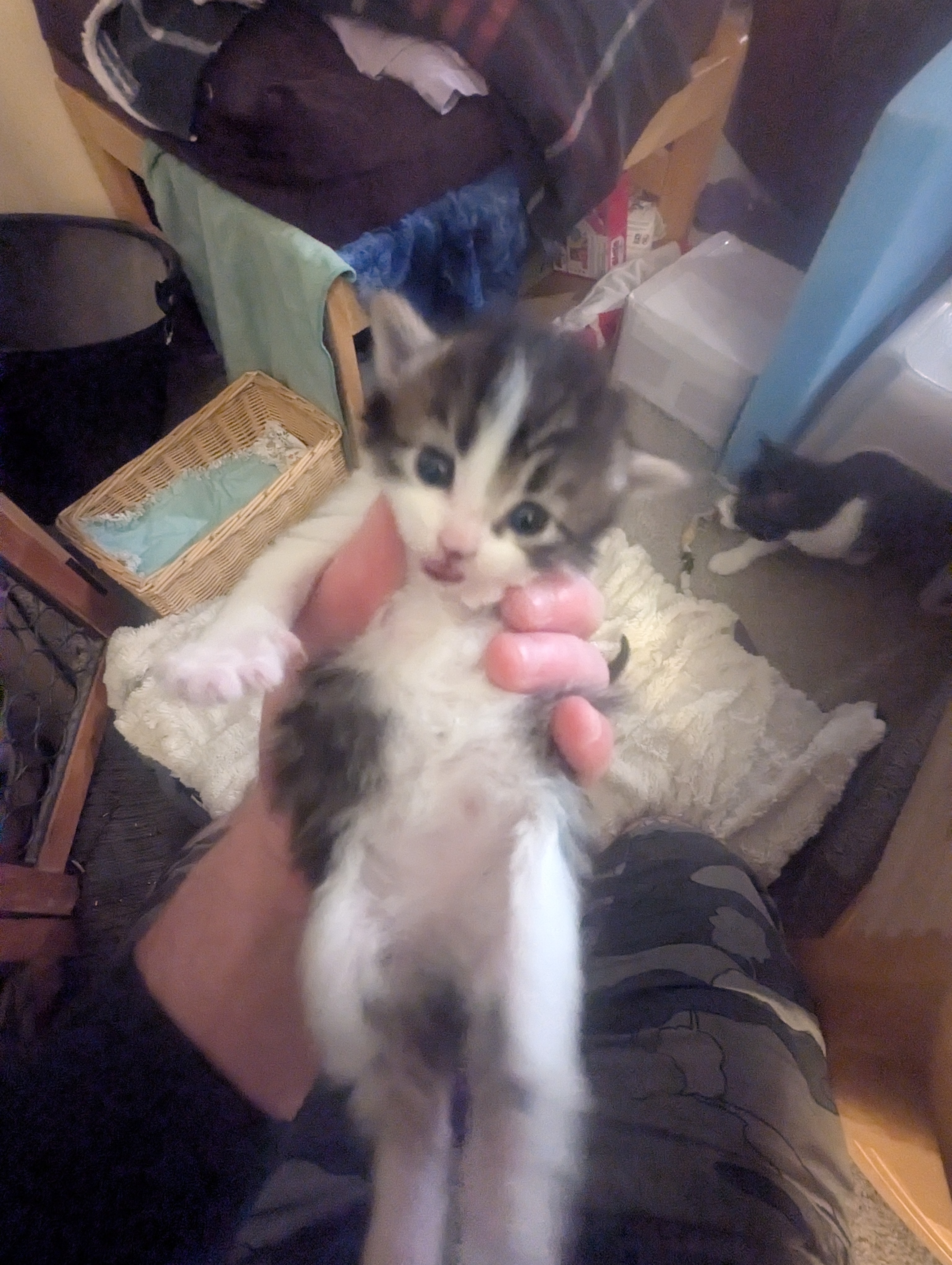 PXL 20260426 014509859