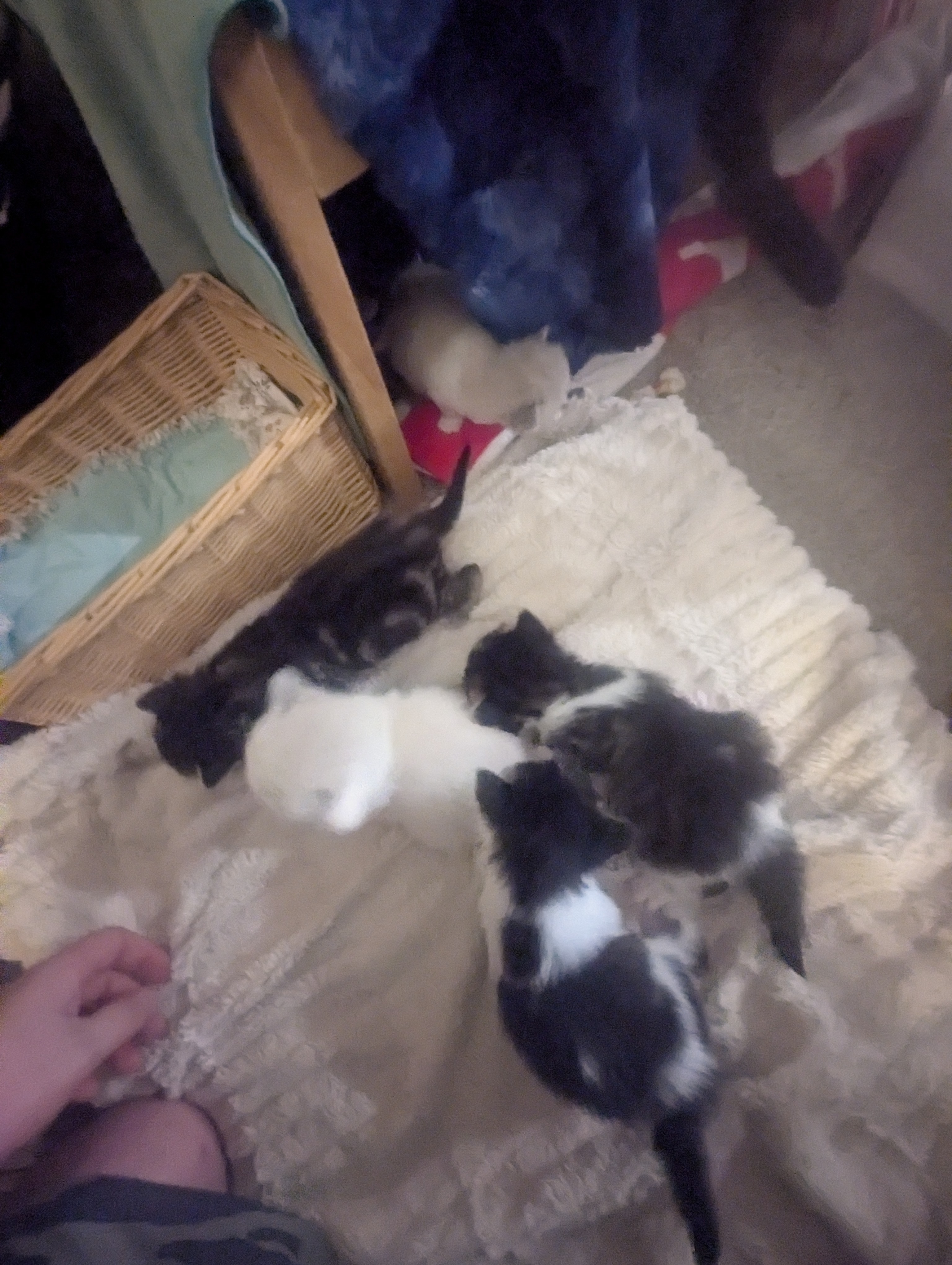 PXL 20260426 014513420