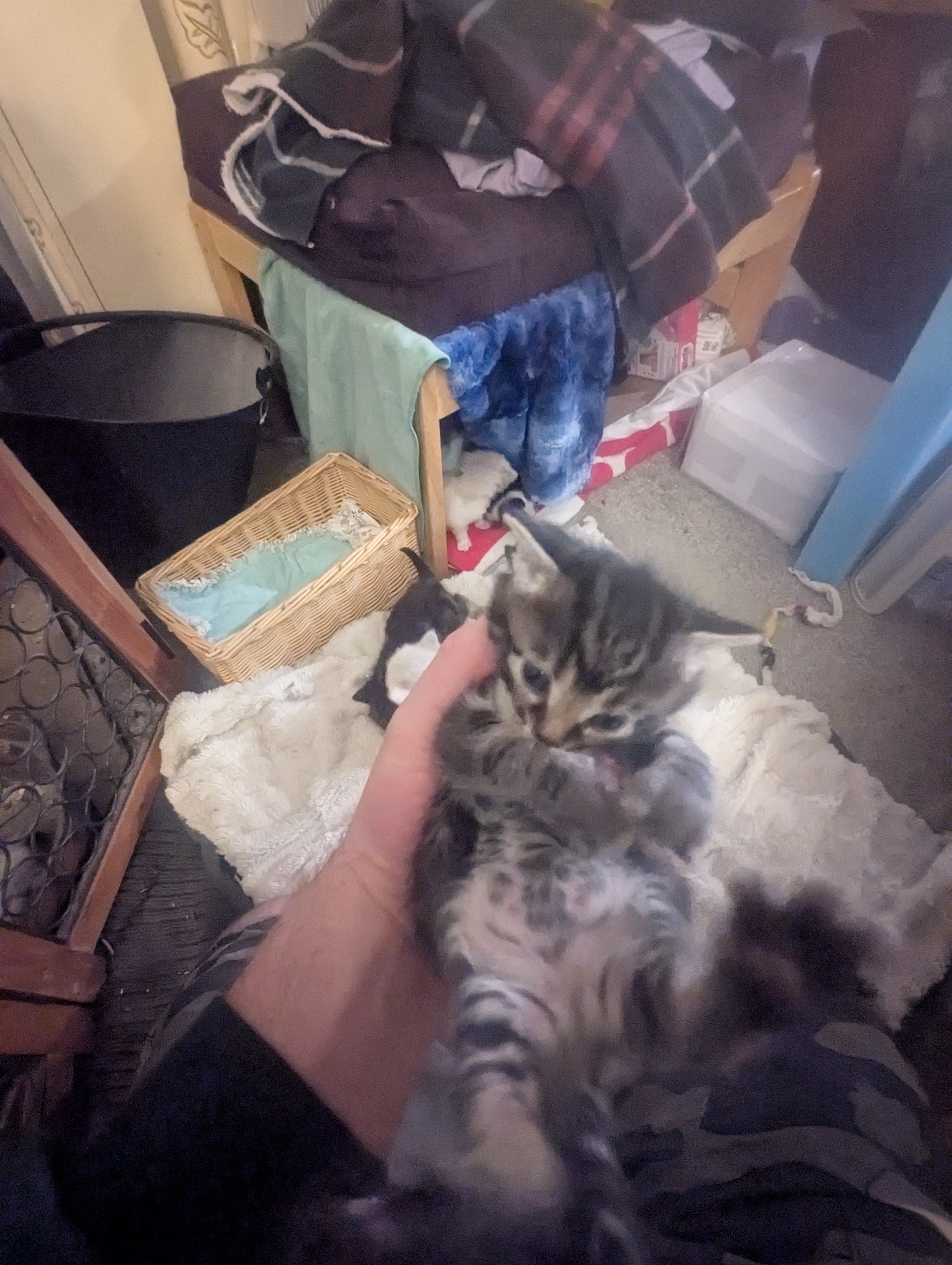 PXL 20260426 014529724