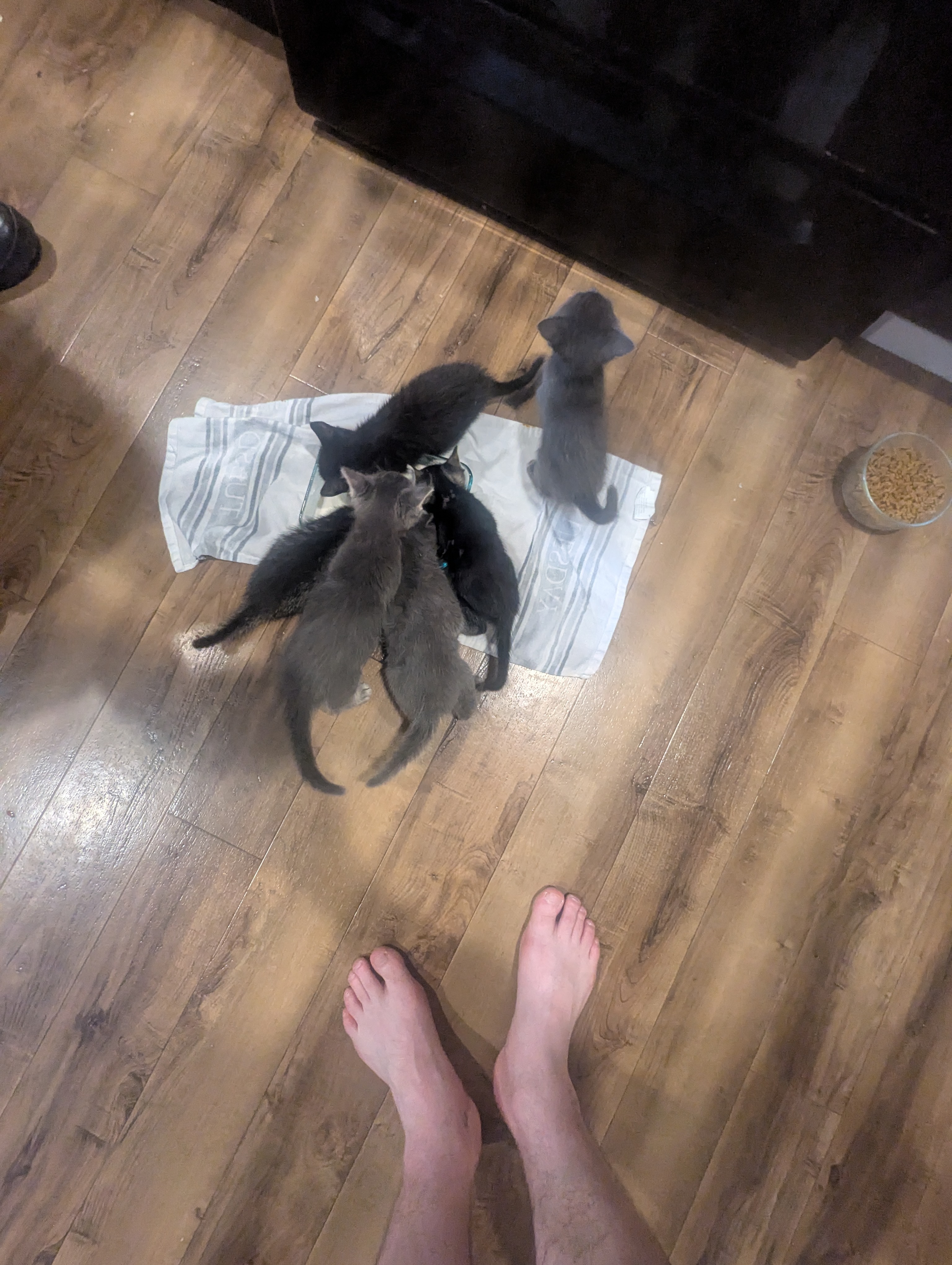 PXL 20260426 014835053