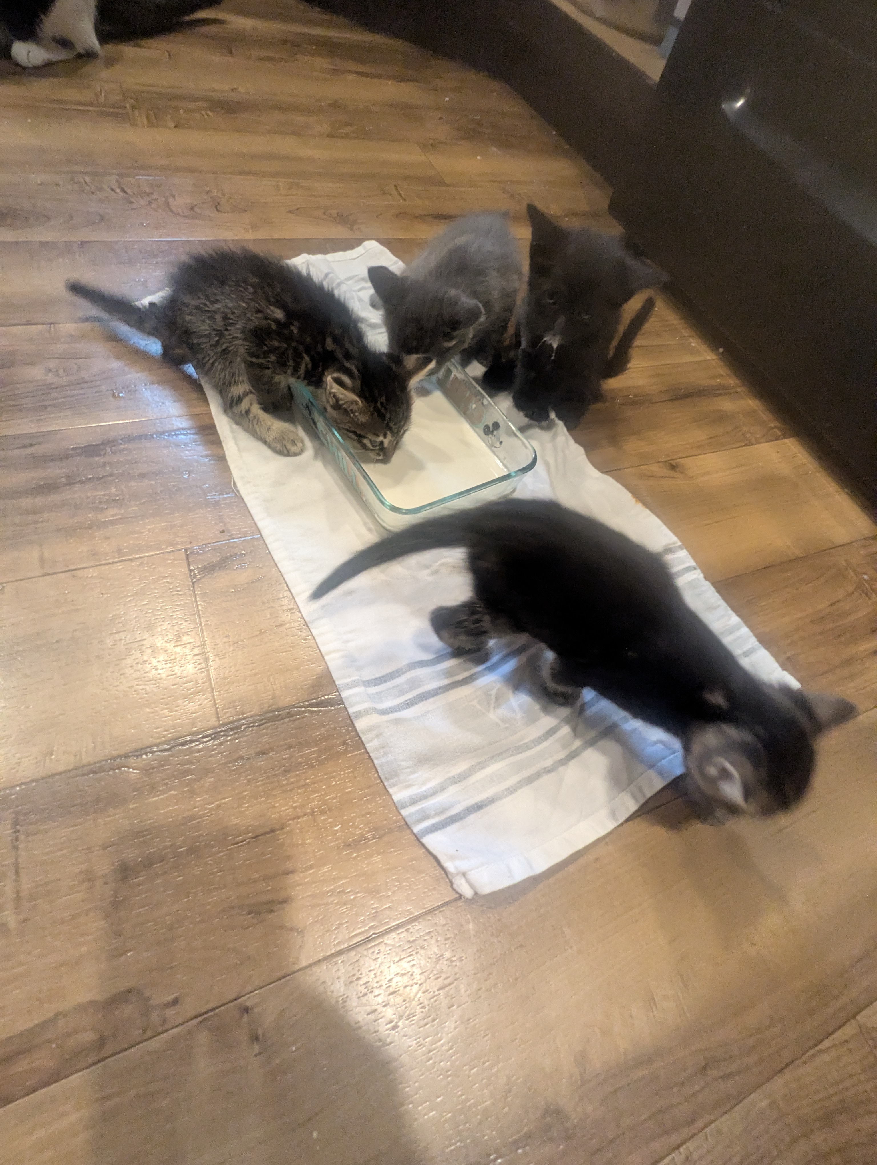 PXL 20260426 015147186