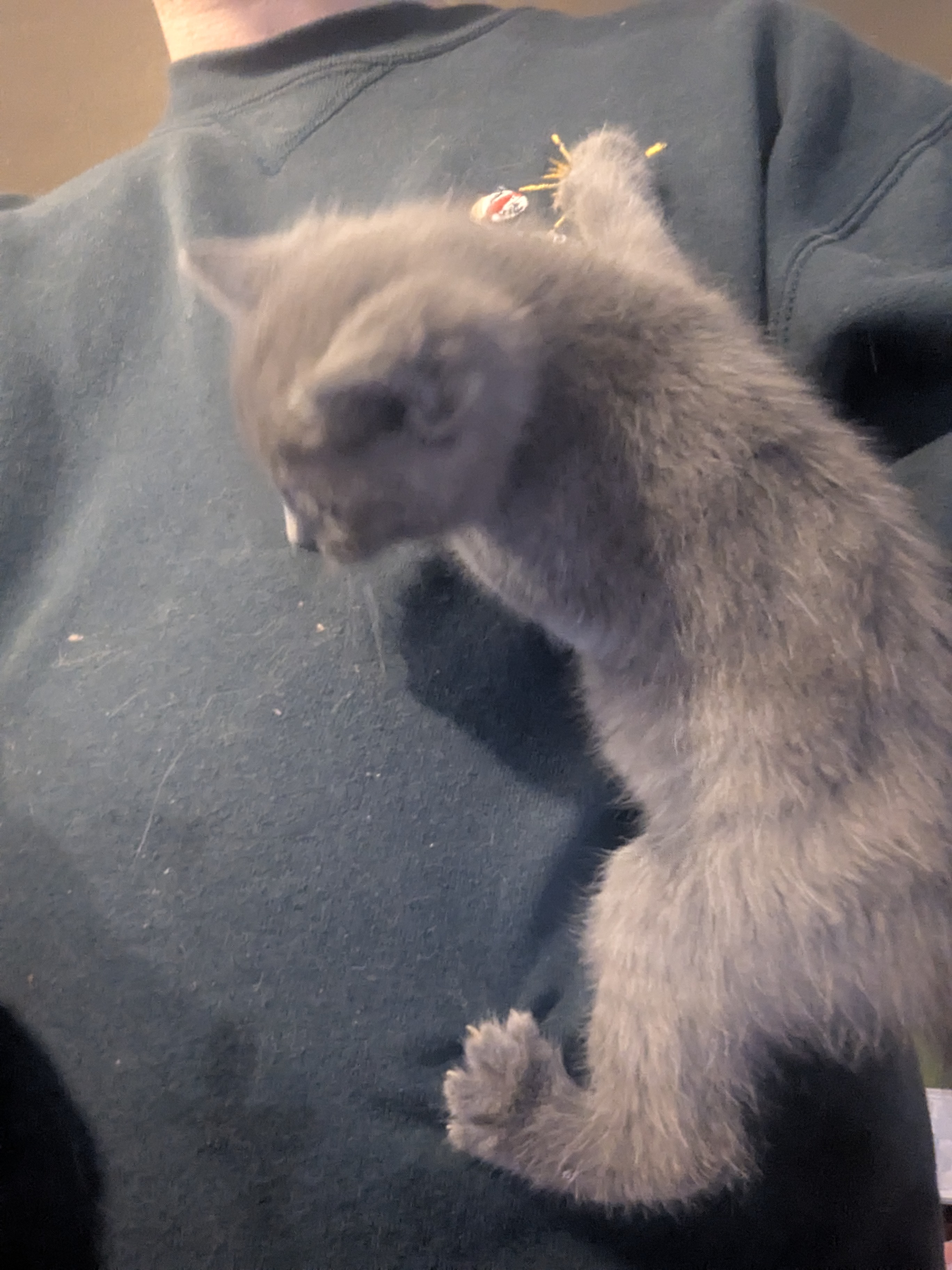 PXL 20260426 023742925