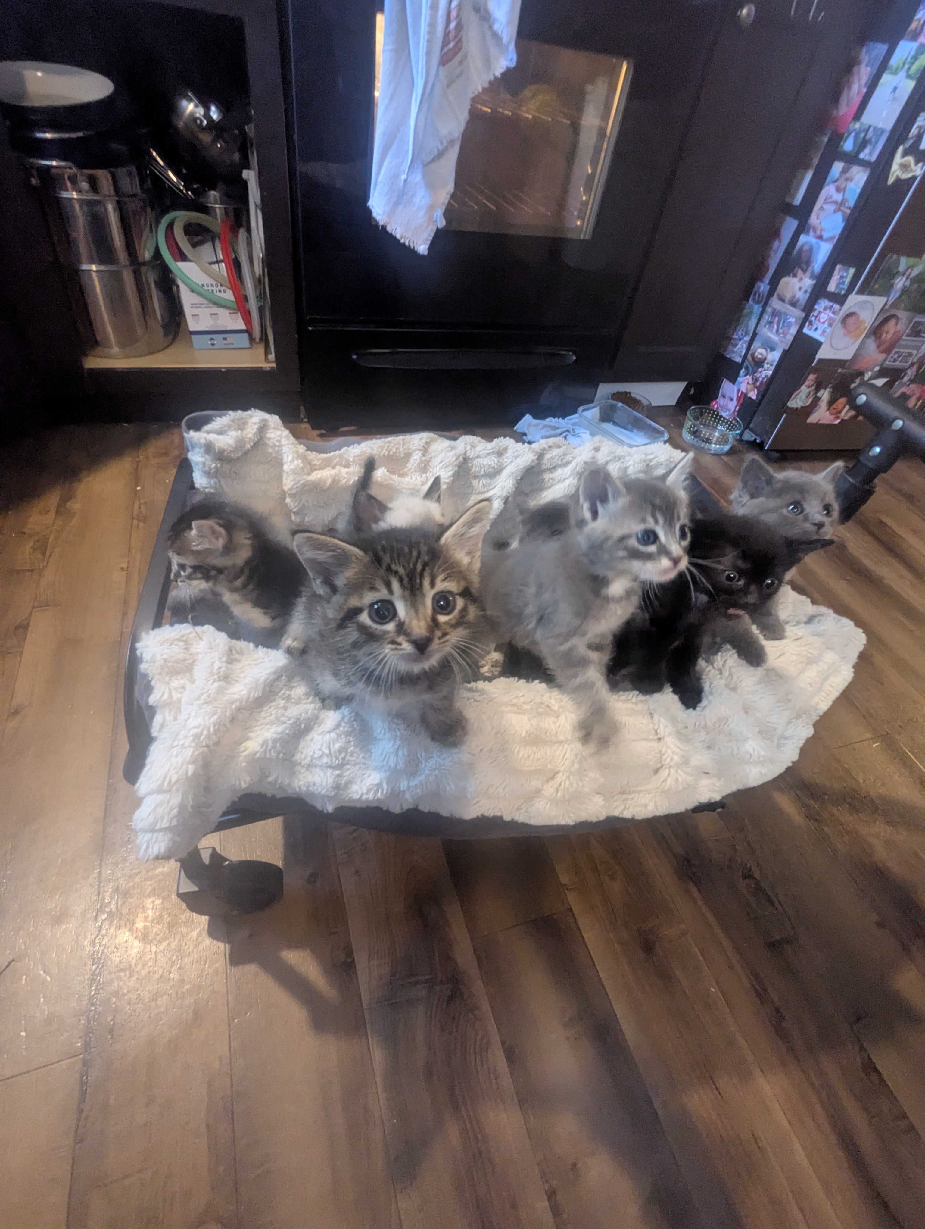 PXL 20260426 193305493