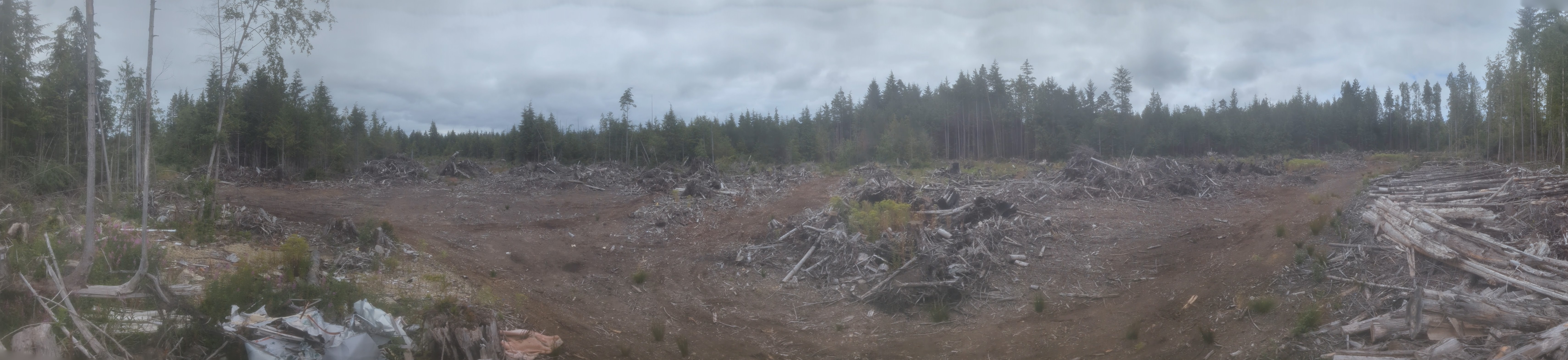 PXL 20260718 193920808PANO