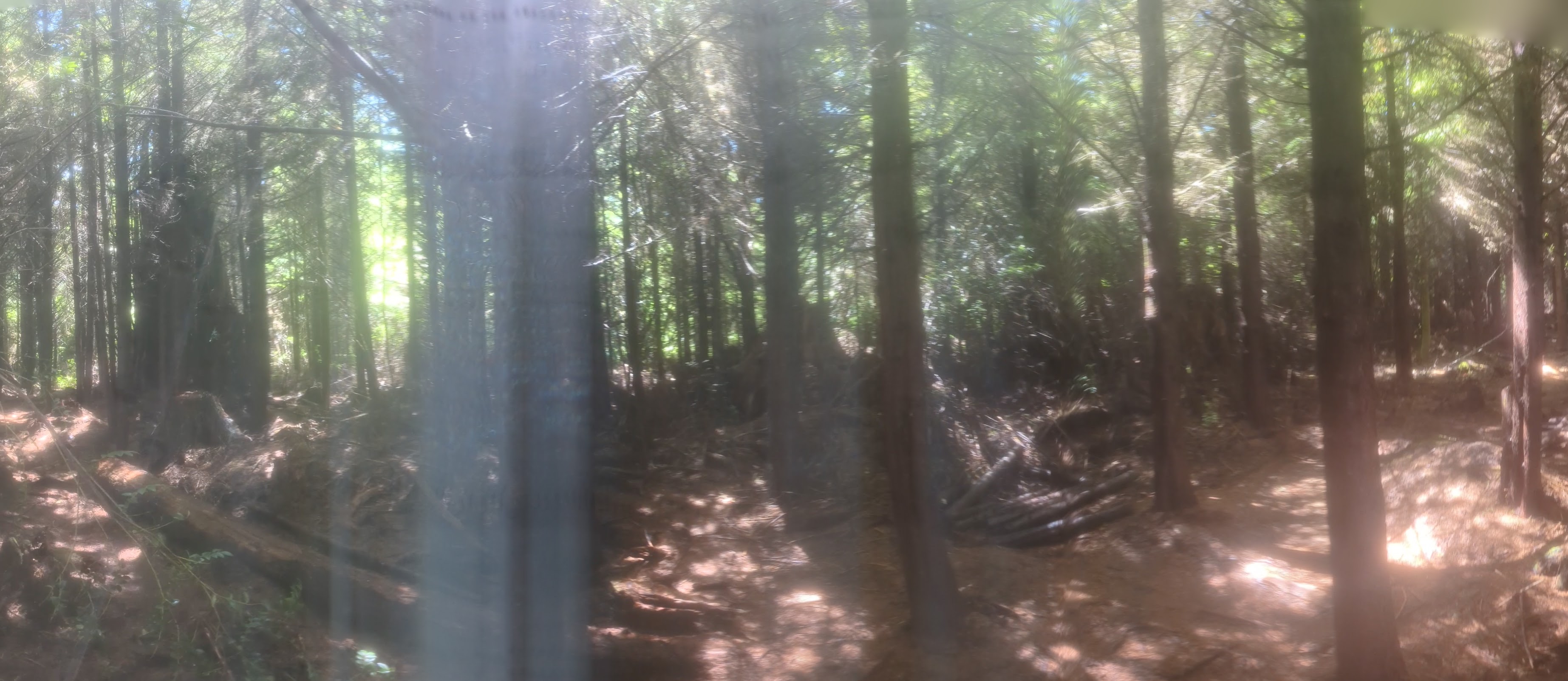 PXL 20260728 204801517PANO