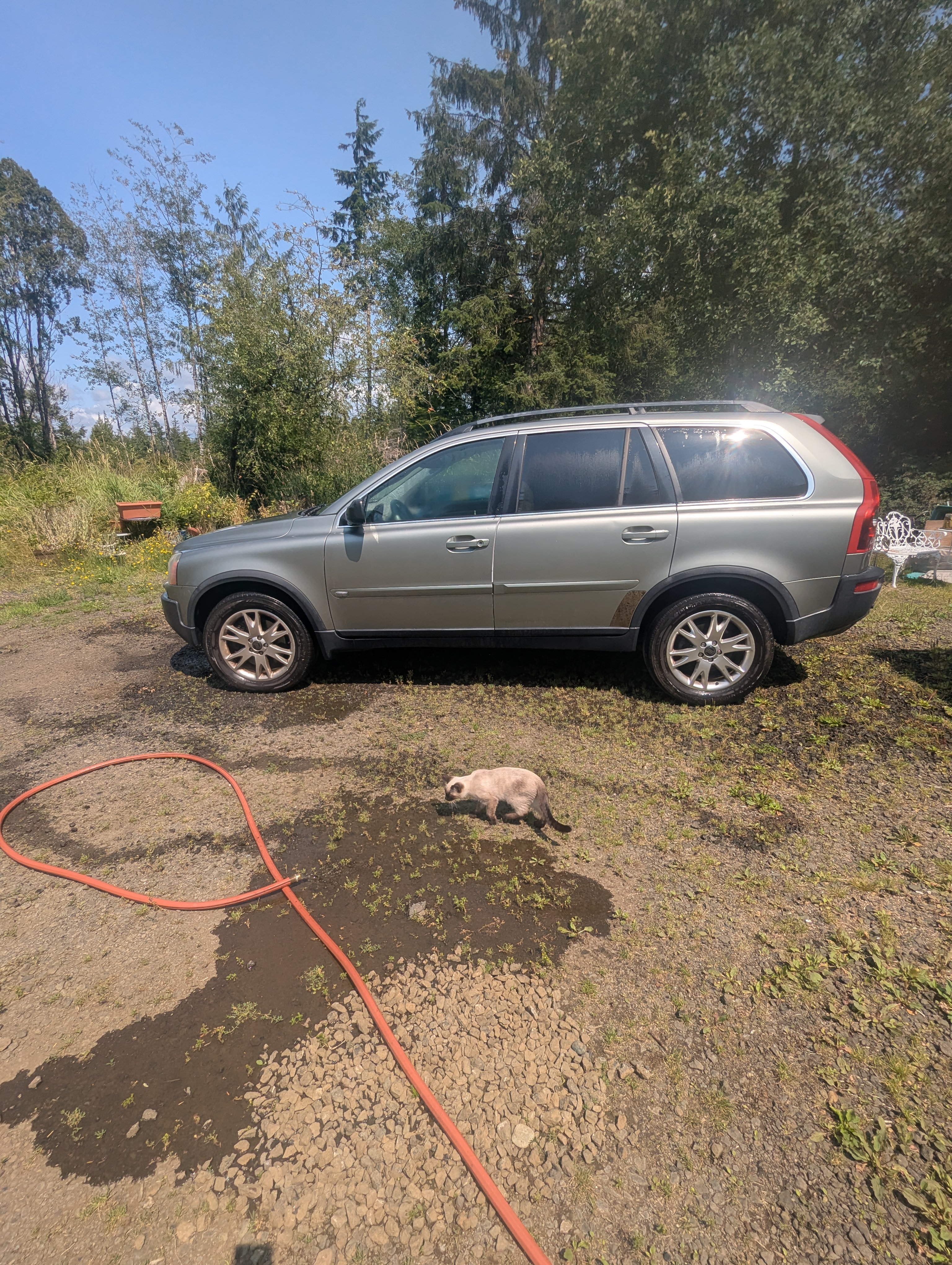 PXL 20260802 211614743