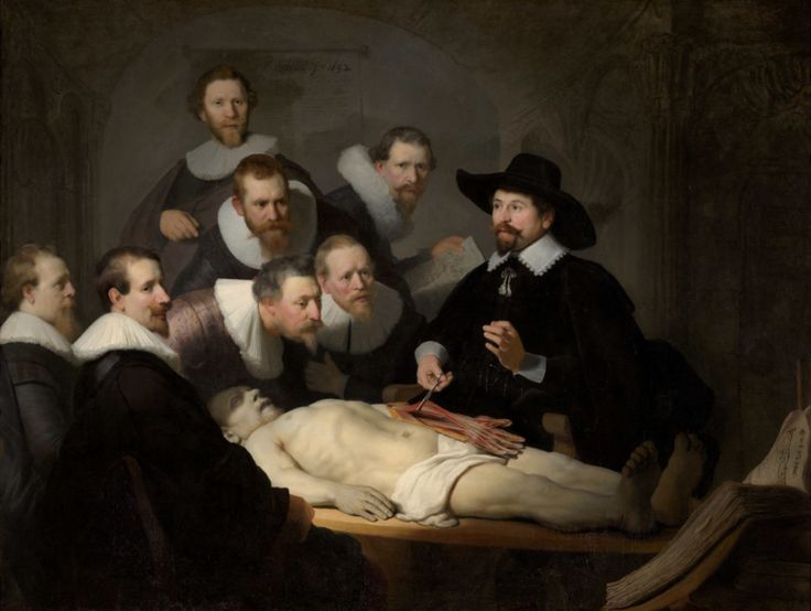 Rembrandt the doctor