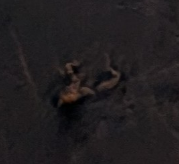 Screenshot 2026 03 01 at 72113 PM