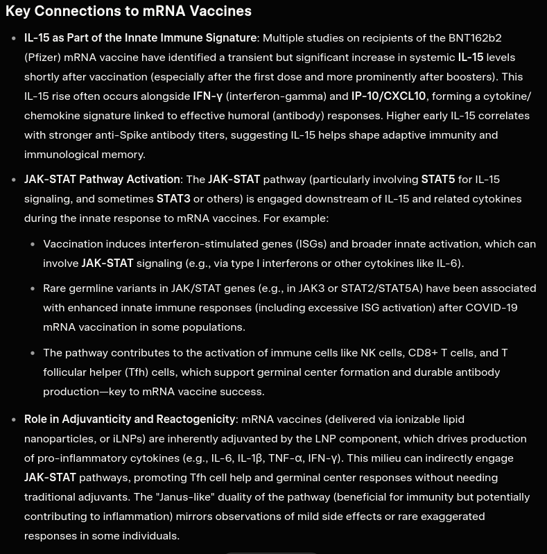 Screenshot 20260206 003235