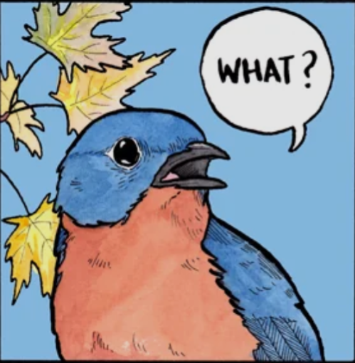 Screenshot 20260209 133628