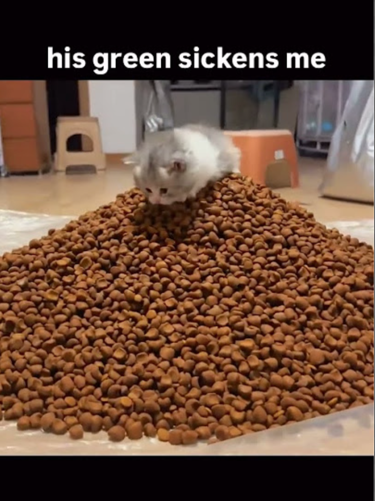 Screenshot 20260409 161047