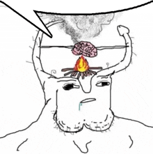 Stupid braindead