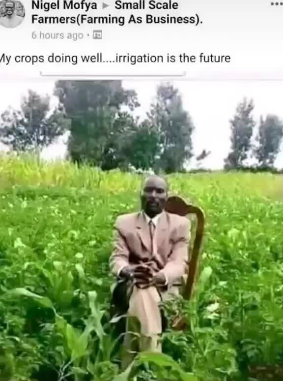 TheFuture