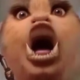 Tooth