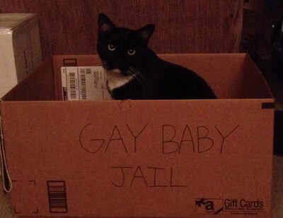 Tumblr  Gay Baby Jail