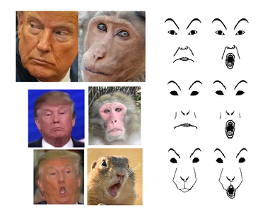 Trump face