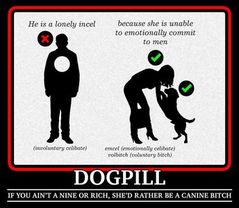 dogpill.jpg