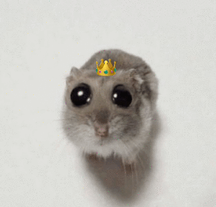 mouseyPrincess.gif