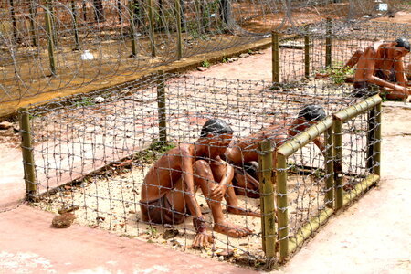 Tiger_Cages_at_Phu_Quoc_Prison.jpg