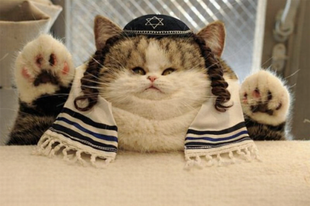 File 000000004374722f9dcdbafad35a6212