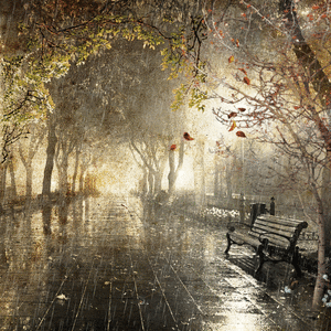 Picmixcom 2096799 Picmixcom 2096799