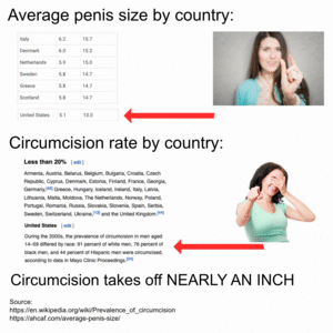 penis size circumcision rate.gif